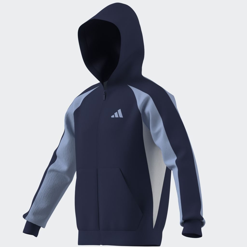 adidas Sportswear Kapuzensweatshirt SEASONAL ESSENTIALS COLORBLOCK