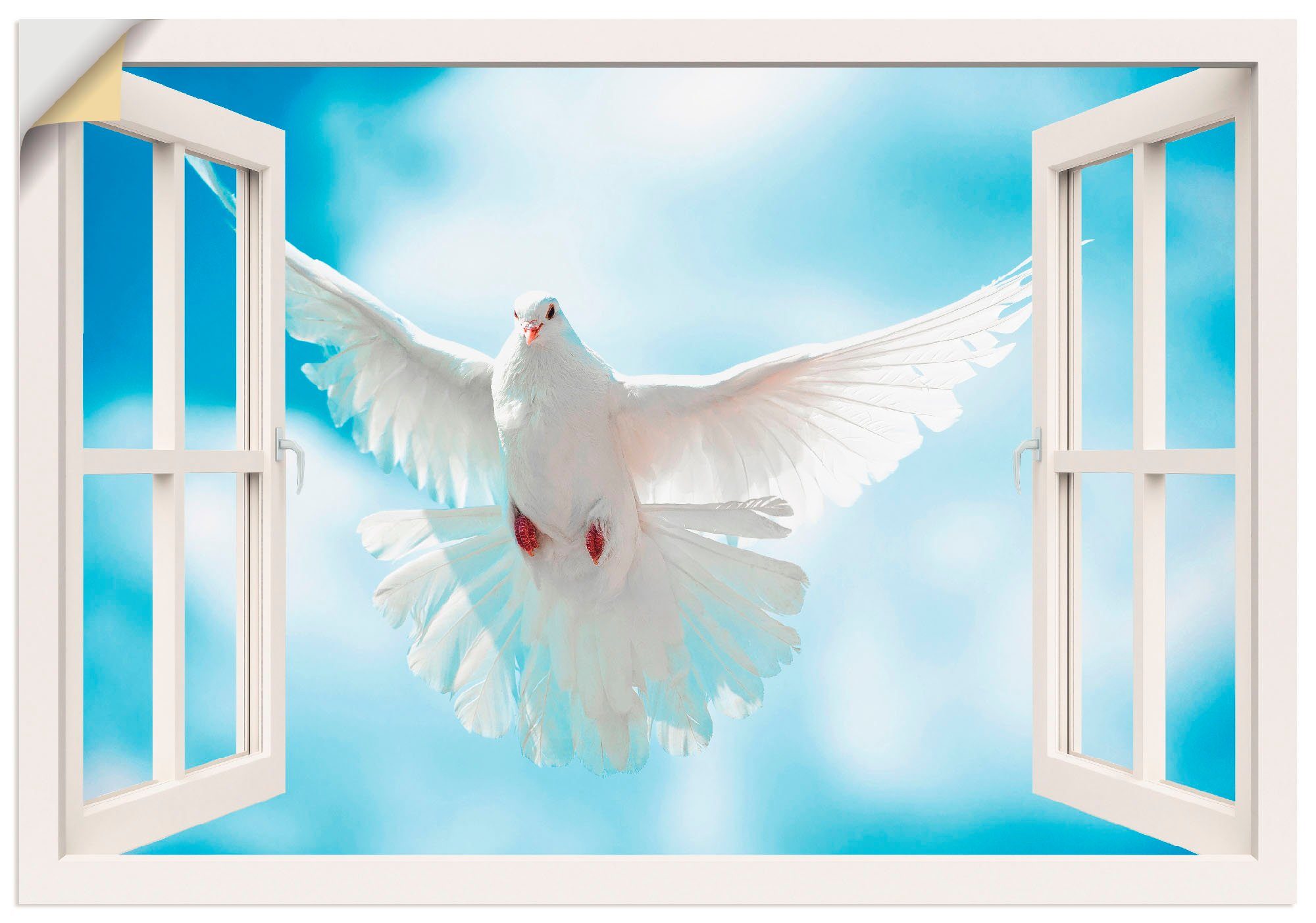 Poster Fensterblick Größen der Artland Wandaufkleber Vögel oder als (1 Alubild, Leinwandbild, versch. in Wandbild vor Taube Sonne, St),