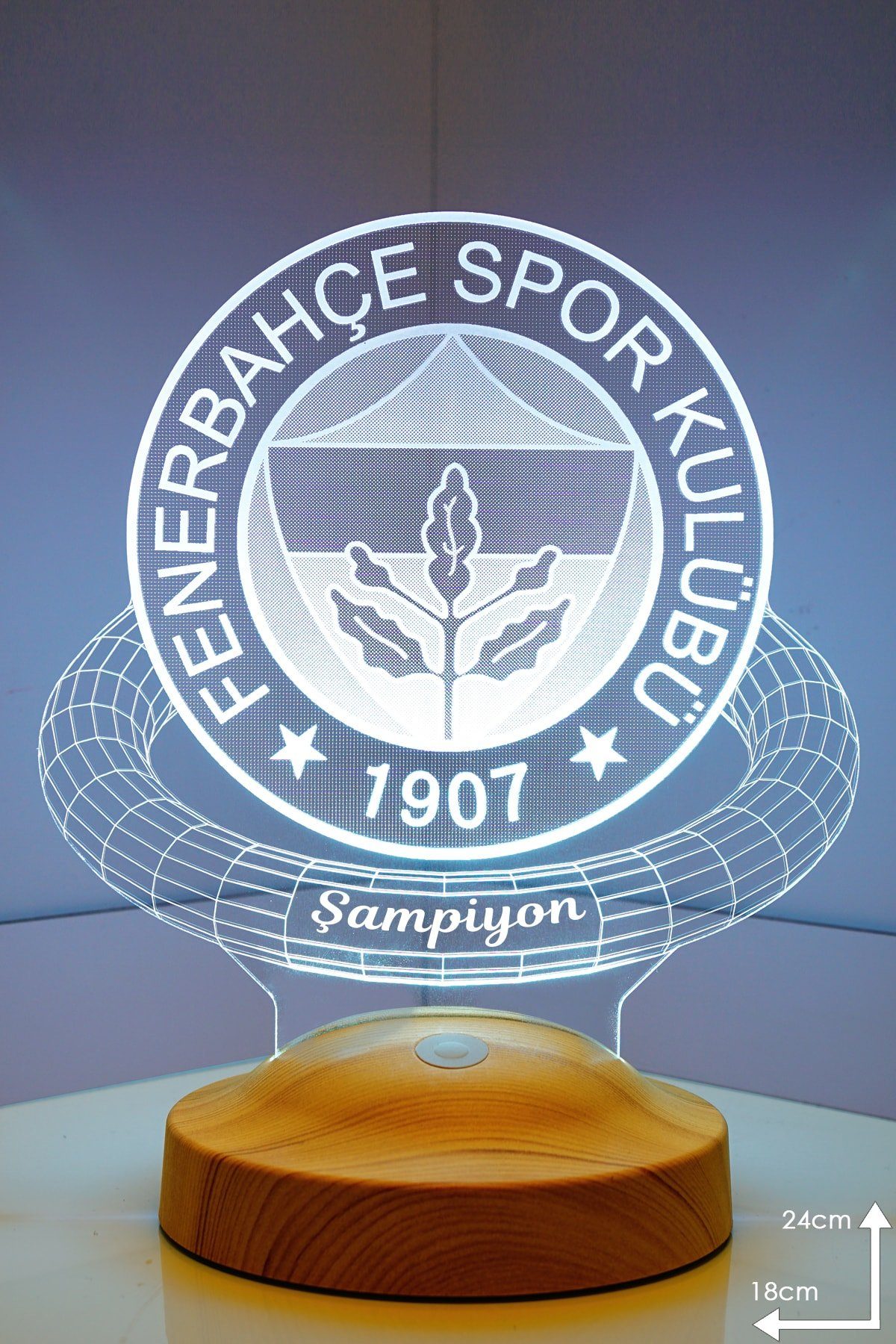 Geschenkelampe LED Nachttischlampe Fenerbahce Fanartikel 3D Nachtlicht Geburtstagsgeschenk, Leuchte 7 Farben fest integriert, Fußball, Geschenk für Fenerbahce Fans