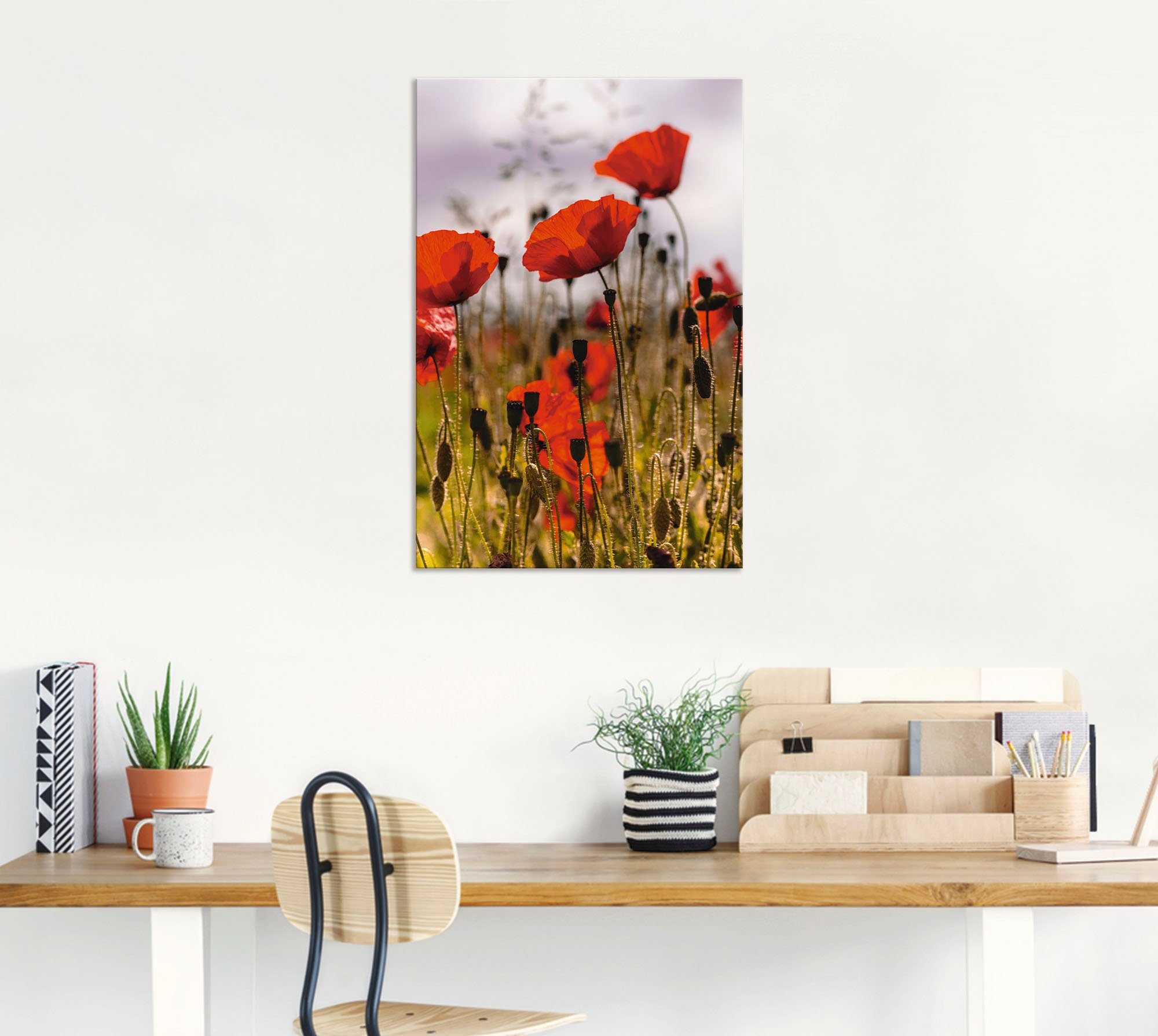 Mohnblumen Leinwandbild, Morgenlicht, im Poster Blumenwiese Wandaufkleber Alubild, Artland St), versch. Größen Wandbild als oder (1 in