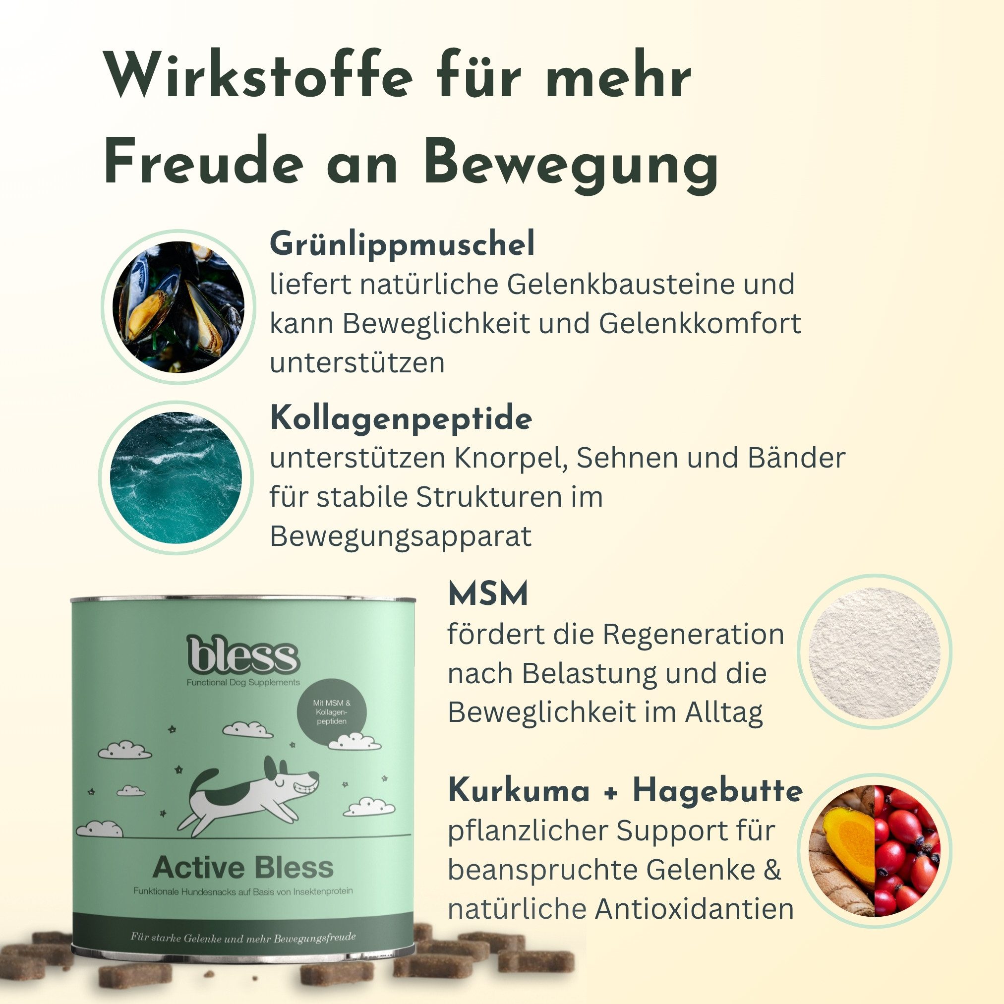 Bless Complete Care Bundle – Rundum-Konzept für Hunde, Nahrungsergänzungsmittel für: Hunde, mit Insektenprotein (allergikerfreundlich)