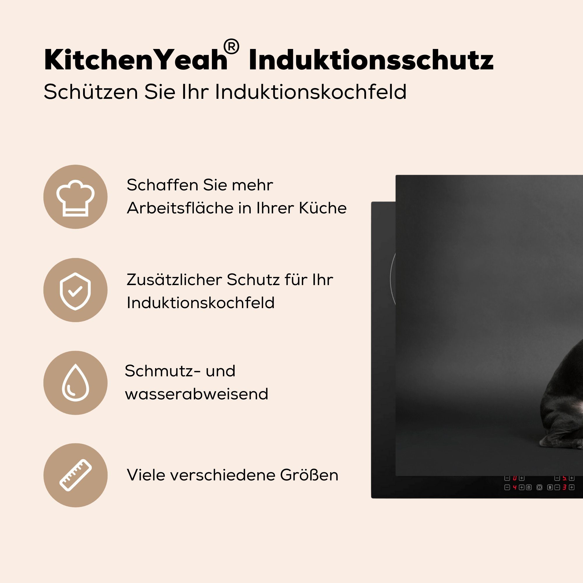 Induktionskochfeld Porträt, Hund Schutz - Spot tlg), Ceranfeldabdeckung küche, die cm, Vinyl, Herdblende-/Abdeckplatte (1 für - MuchoWow 81x52