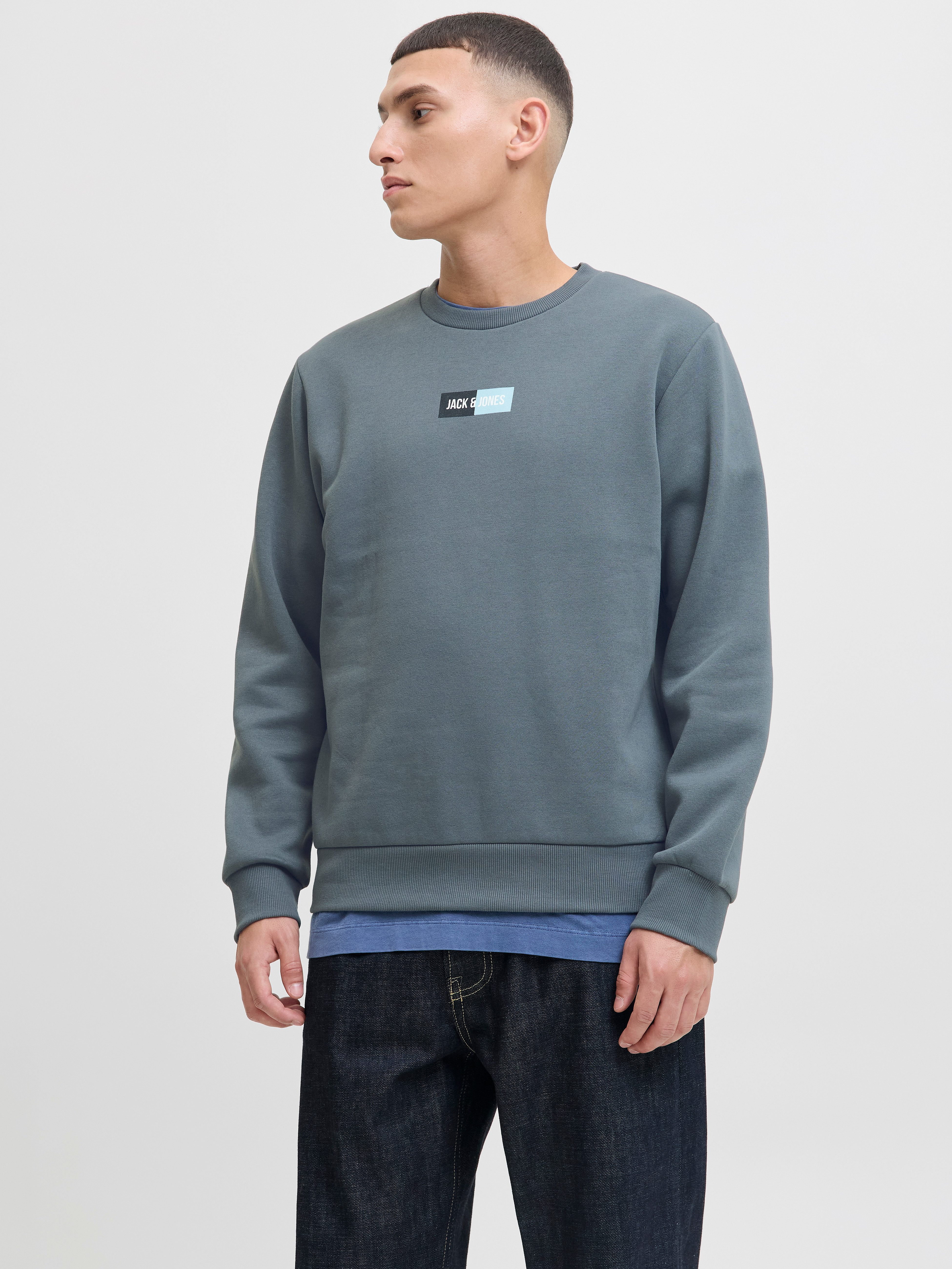 Jack & Jones Sweater JJPAN SWEAT CREW NECK günstig online kaufen