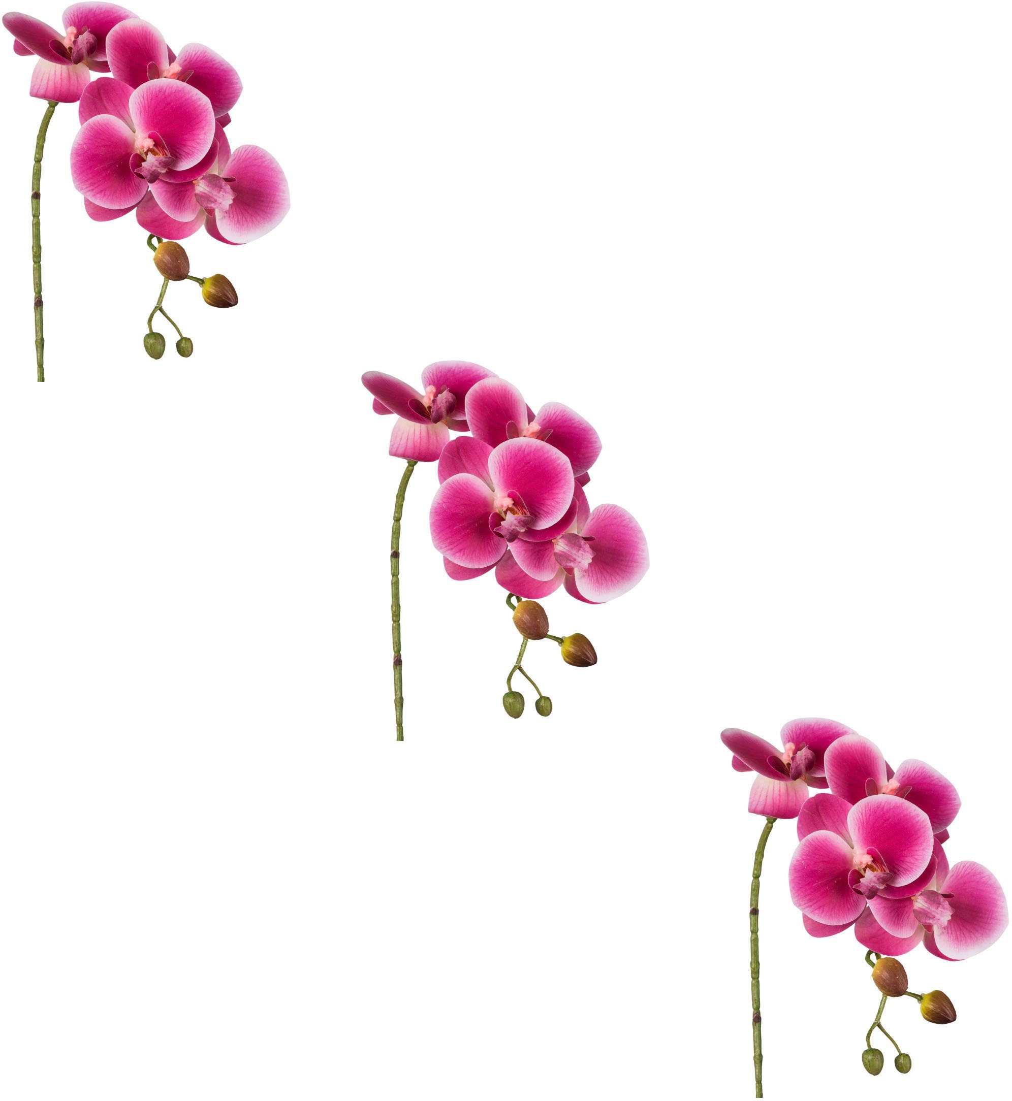 cm, Creativ mit Phalaenopsis, Kunstblume Orchidee green, Höhe 42 3D-print Phalaenopsis Real-Touch-Blüten