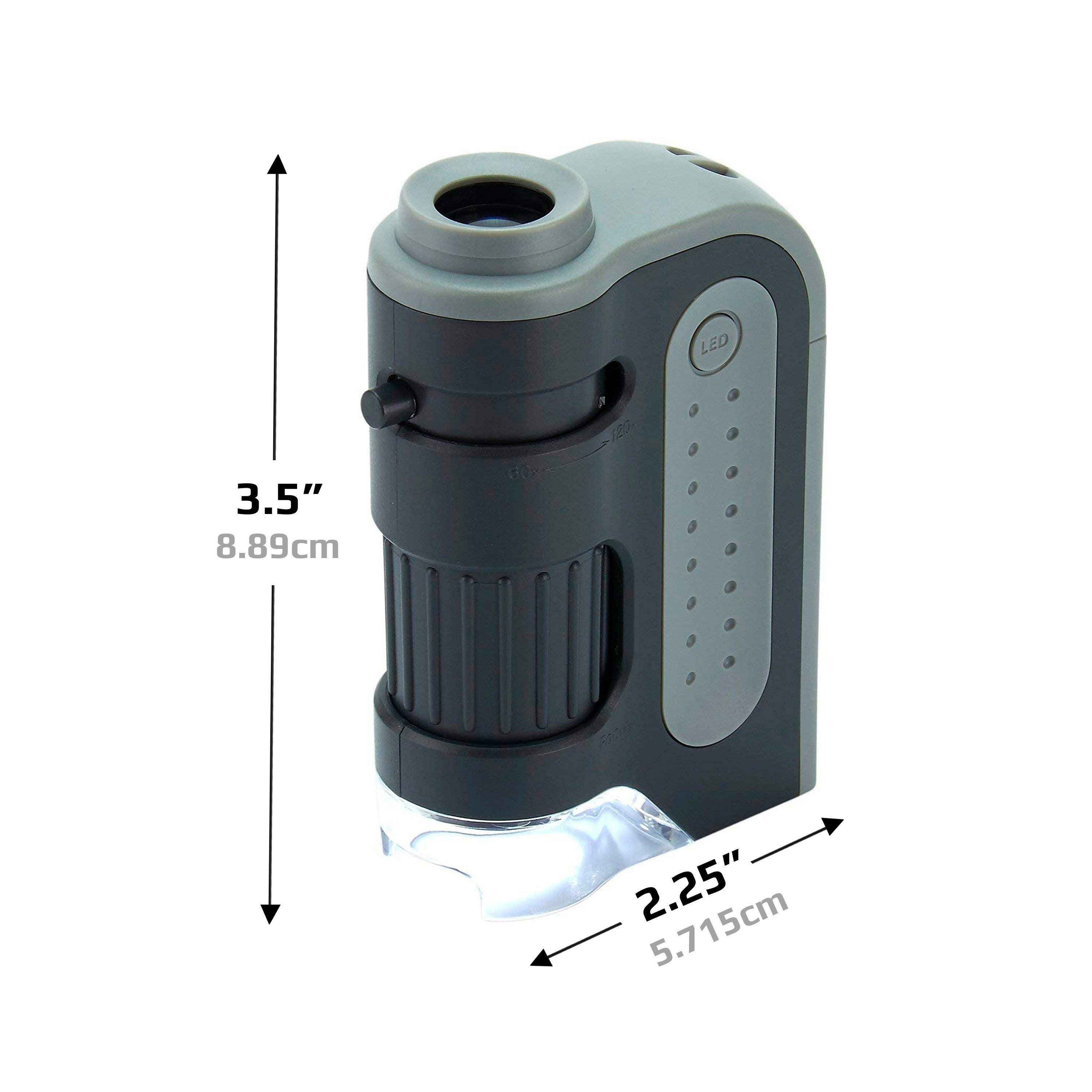 CARSON MM-300 Taschenmikroskop (120x-60x, asphärisches Linsensystem)