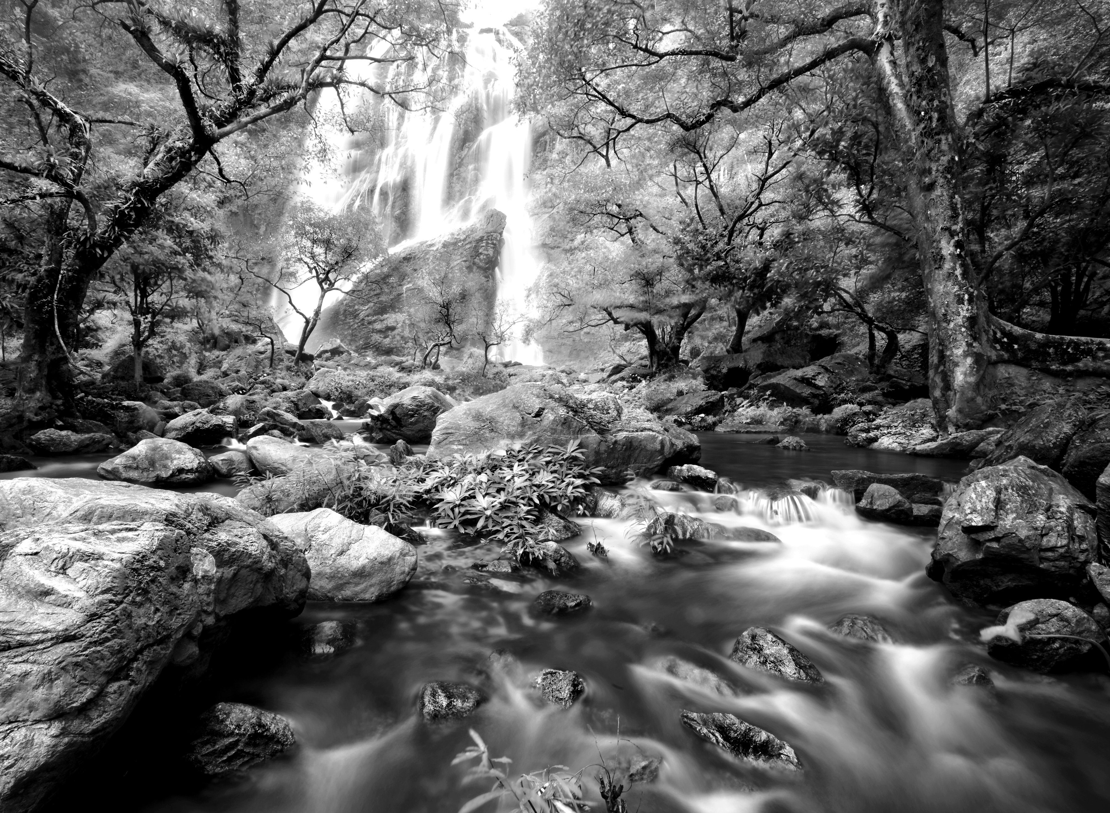 Fototapete Wasserfall im Wald Schwarz & Weiß