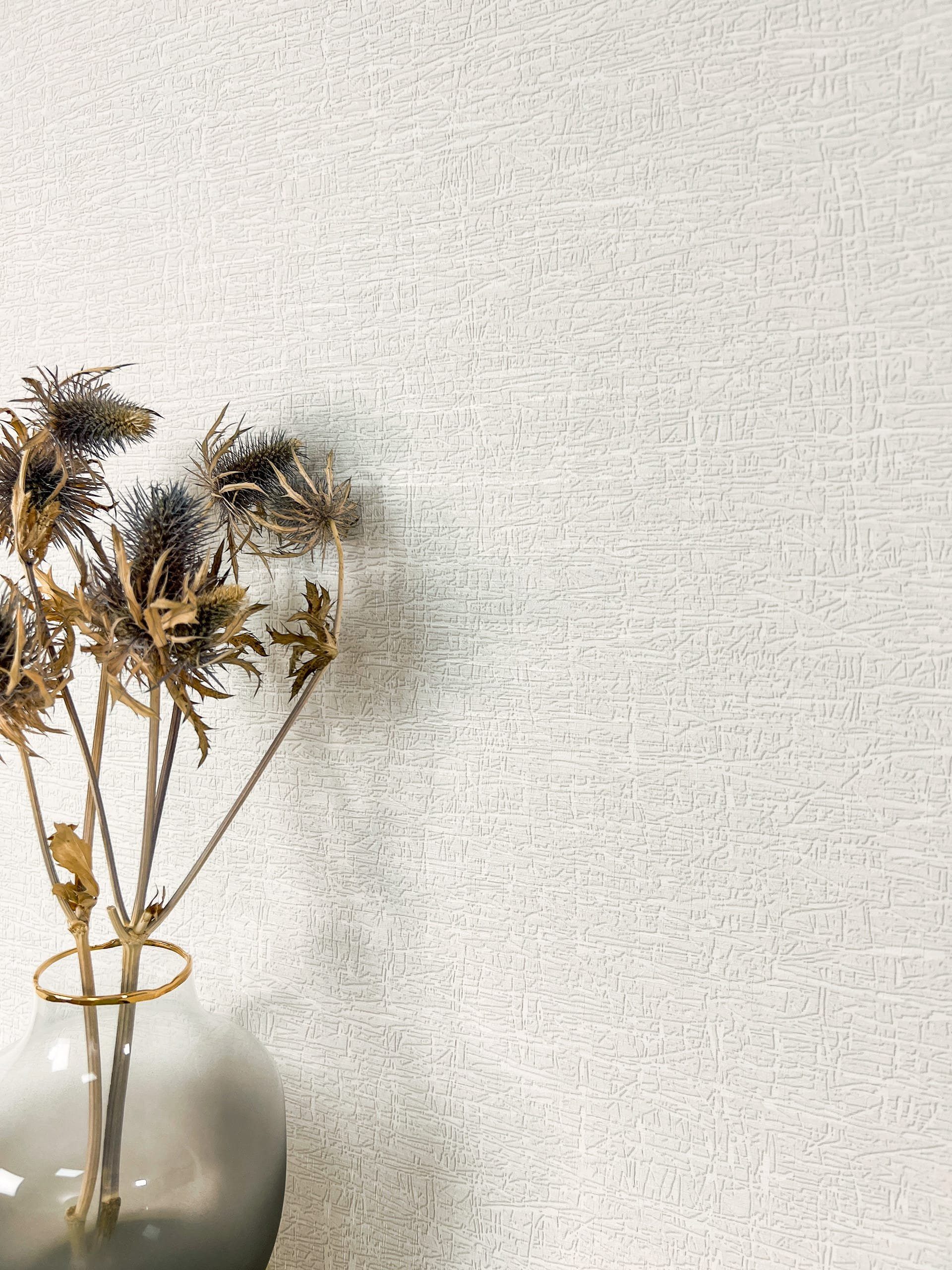 Newroom Vliestapete, Grau Tapete Modern Unifarbe - Mustertapete Einfarbig H günstig online kaufen