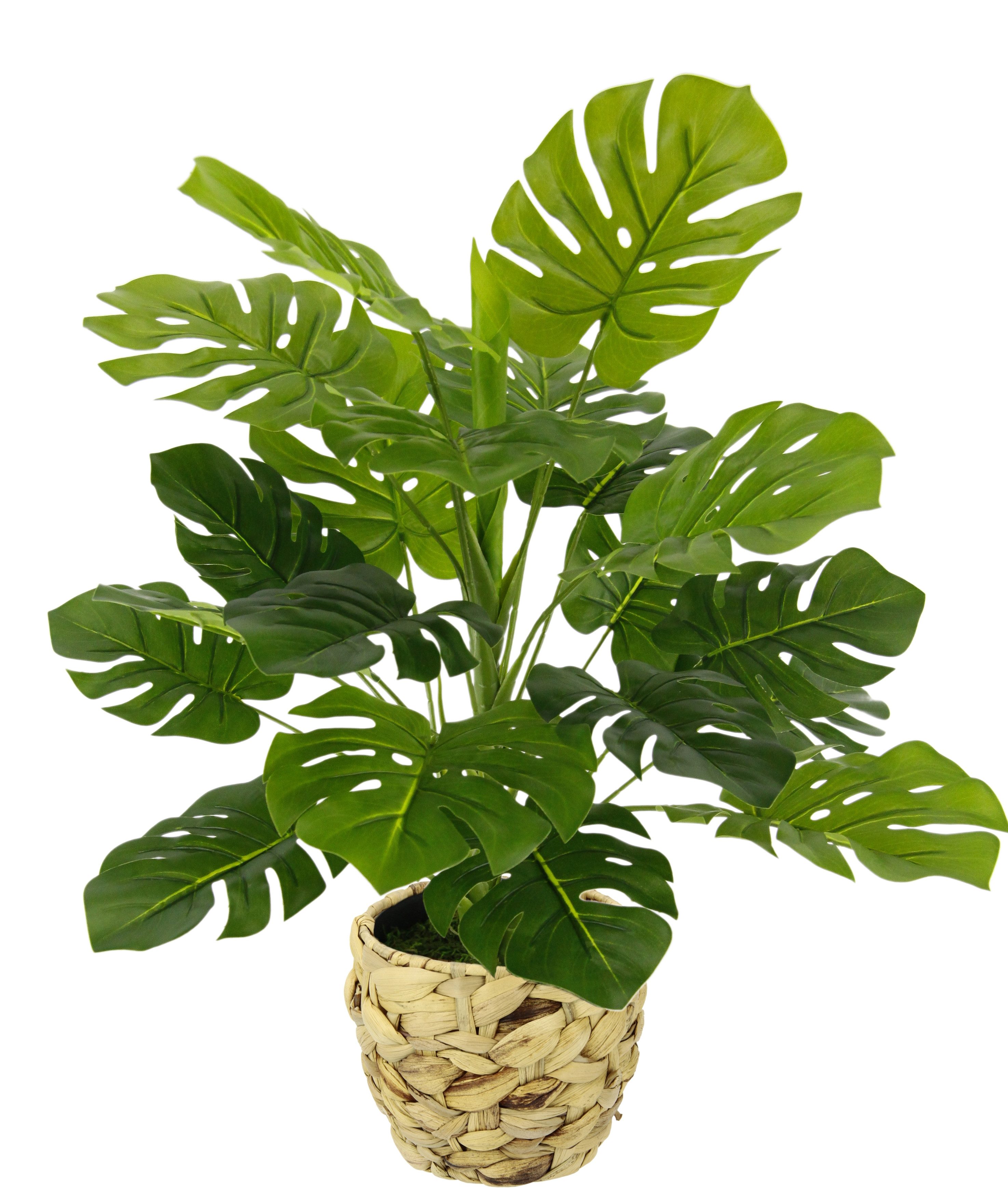 Kunstpflanze Monstera, I.GE.A., Höhe 46 cm, Mit Übertopf künstlicheSplitphi günstig online kaufen