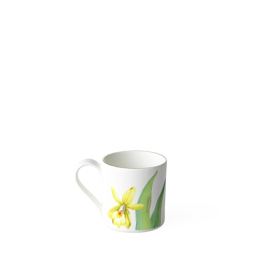 Villeroy & Boch Signature Espressotasse Amazonia Mokka-/Espressotasse, 80 ml, 1-tlg., Porzellan, Premium Bone Porcelain, spülmaschinenfest, Made in Germany