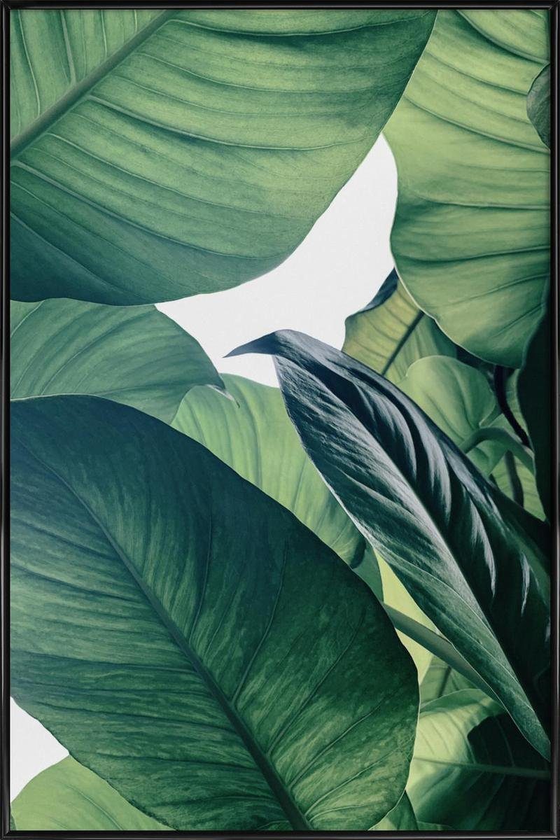 Poster Rand mit Fauna Kunststoffrahmen, Juniqe Flora Galeriequalität Fine-Art-Print breiten, in 1 Black weißen einem cm mit St), & (1 Poster