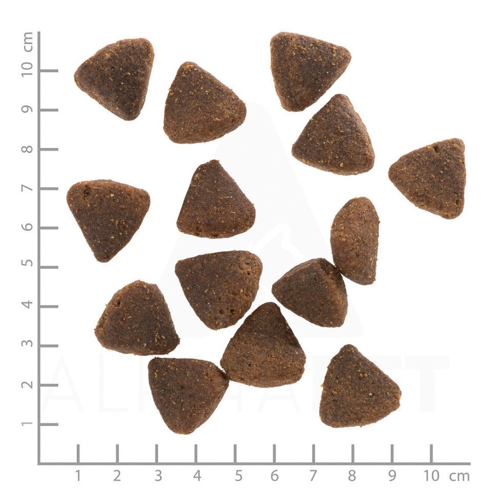 Wolfsblut Wild Duck Puppy Large Breed - Welpenfutter mit großen Kroketten, Trockenfutter für: Hunde