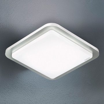 steinel LED Deckenleuchte RS, Bewegungsmelder, LED fest integriert, Warmweiß, 360Â° Bewegungsmelder,Edelstahl+LED-Leuchtmittel, Warmweiß,Deckenlampe