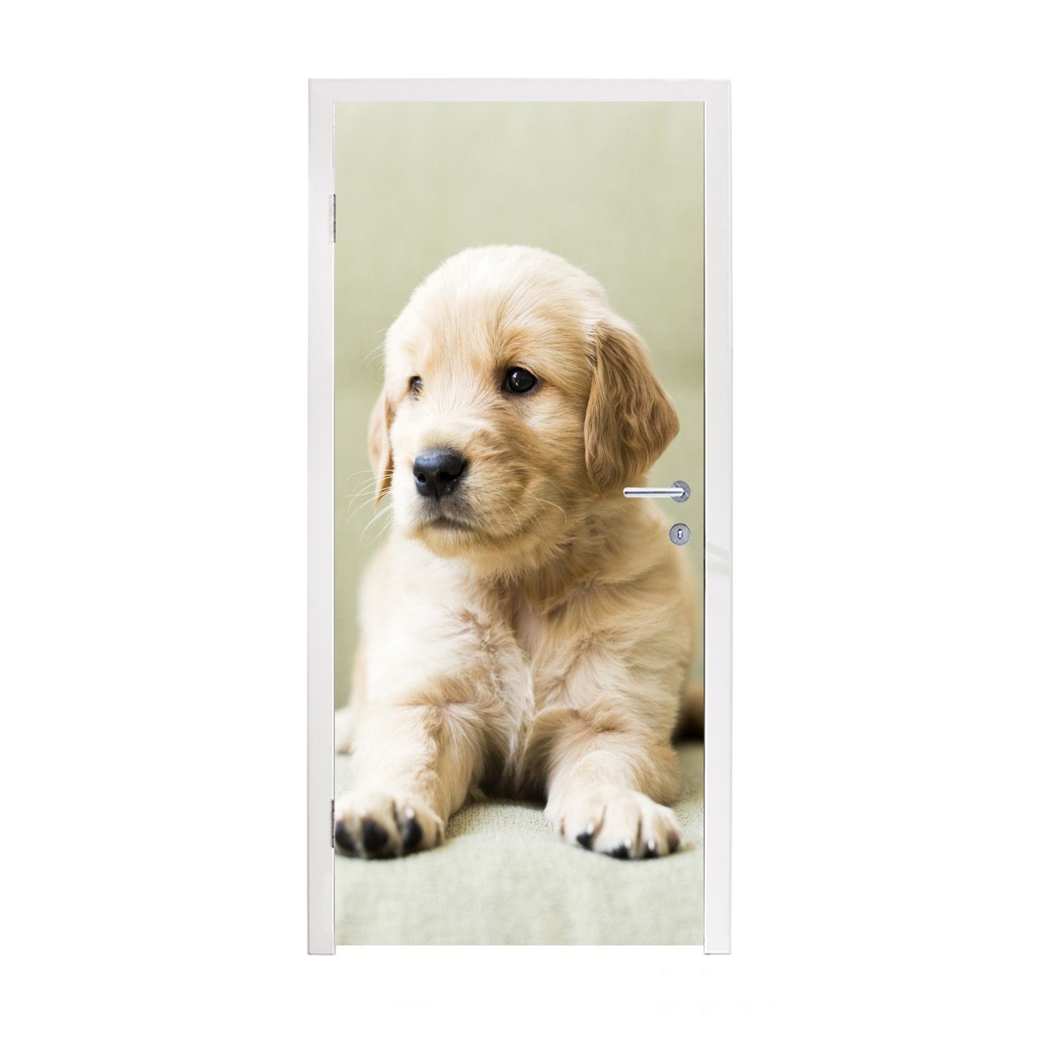 MuchoWow Türtapete Türaufkleber, St), cm Sofa Retriever dem bedruckt, Tür, Golden für 75x205 liegend, Matt, auf (1 Welpe Fototapete