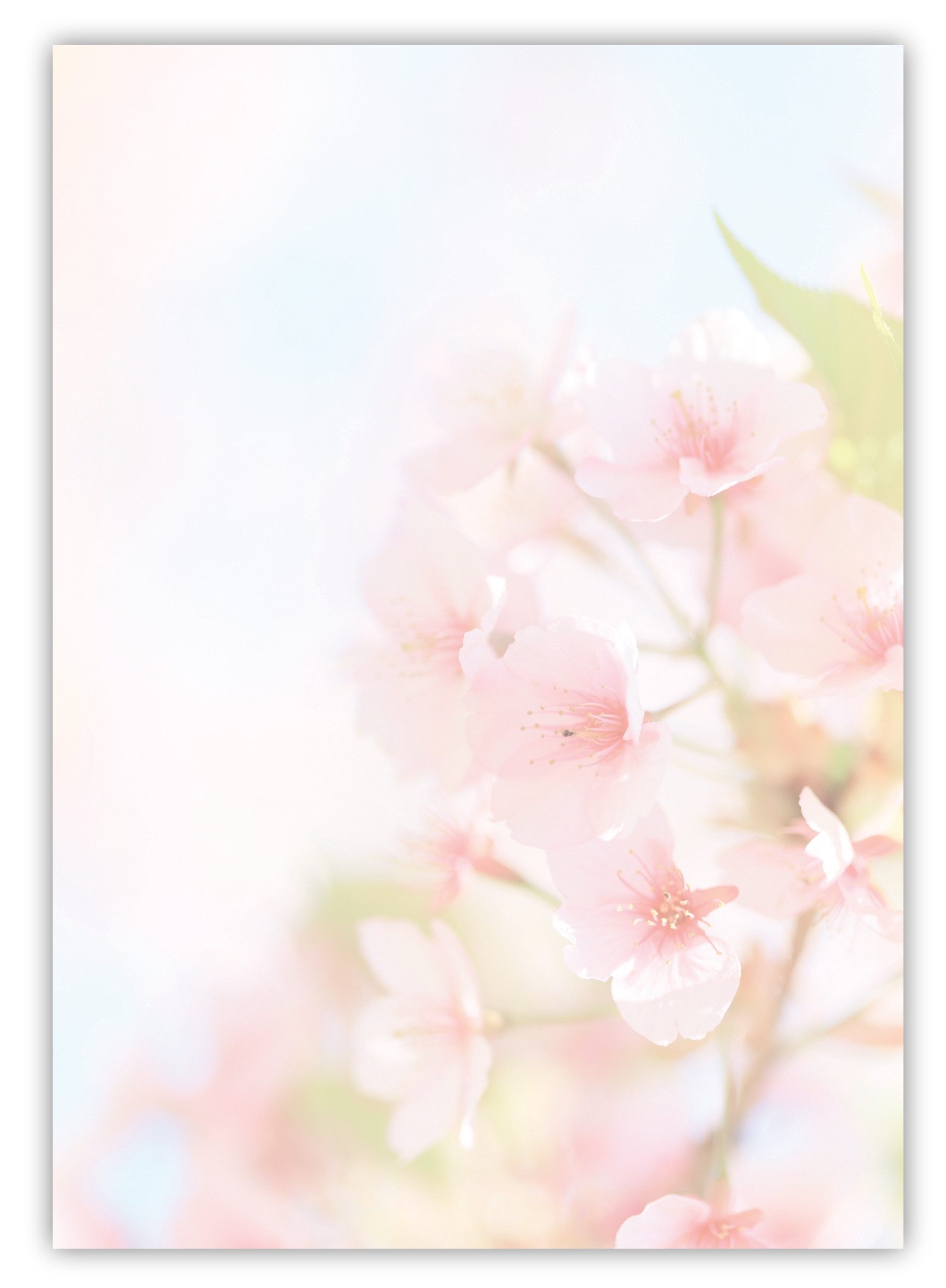 Briefpapier Motivpapier Blumenvielfalt, ganzseitig DIN A4, gut beschreibbar
