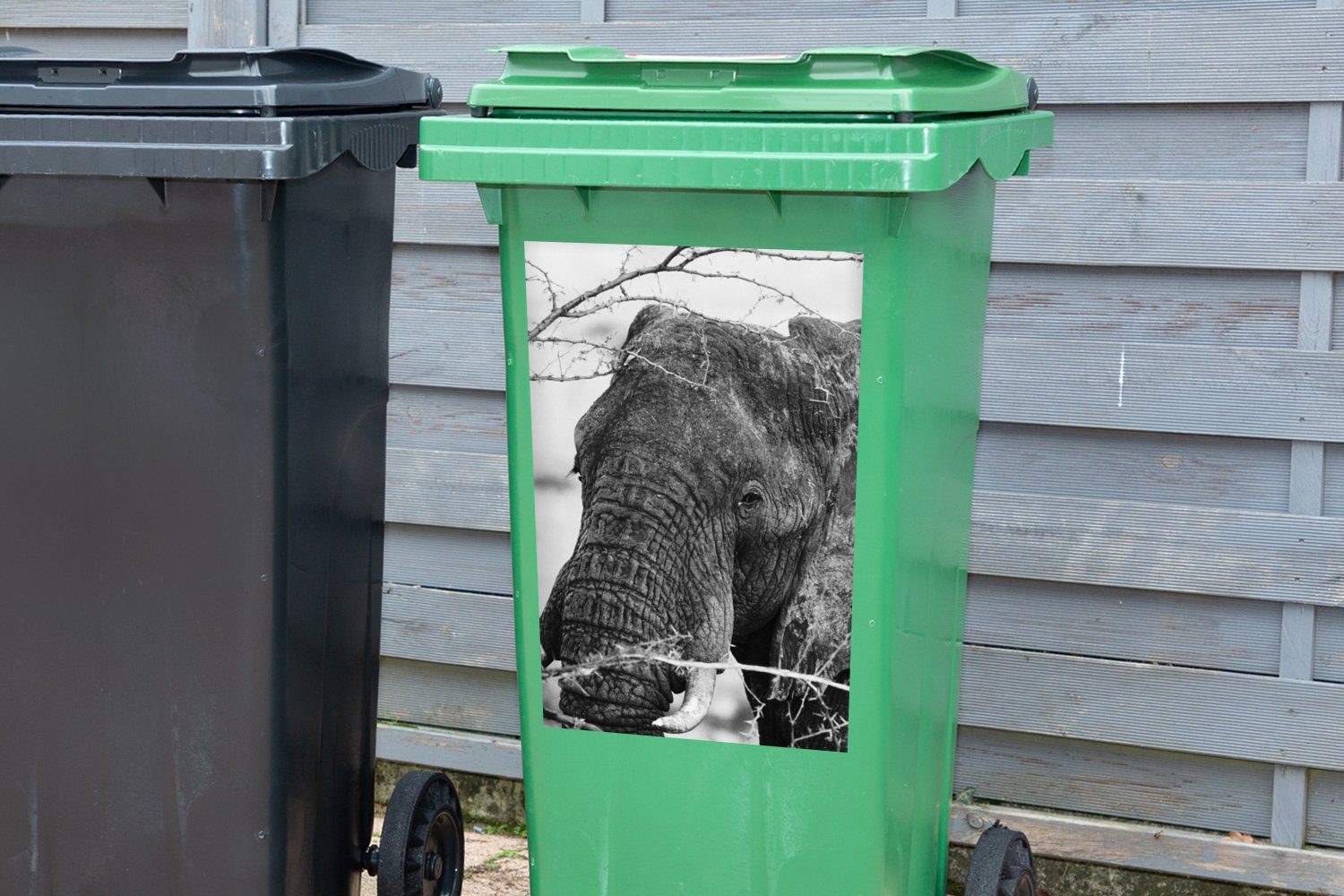 Schwarz Mülleimer-aufkleber, St), und weiß Elefant Wandsticker - Mülltonne, Abfalbehälter MuchoWow Äste - Container, Tiere (1 Natur - - Sticker,