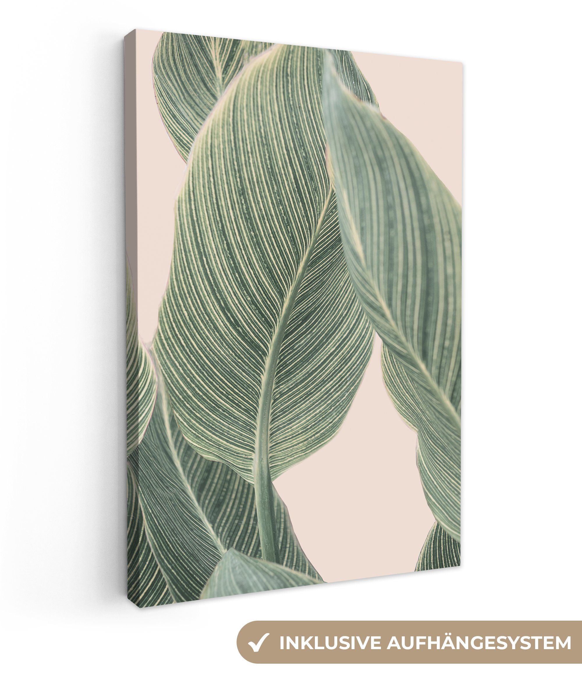 OneMillionCanvasses® Leinwandbild Pflanze - Grün - günstig online kaufen
