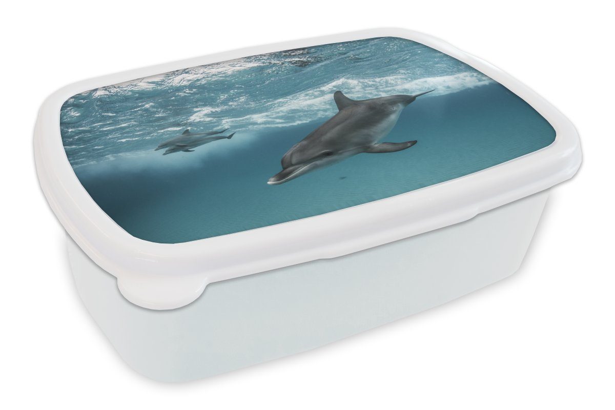 MuchoWow Lunchbox Delfin - Wasser - Meer, Kunststoff, (2-tlg), Brotbox für Kinder und Erwachsene, Brotdose, für Jungs und Mädchen weiß