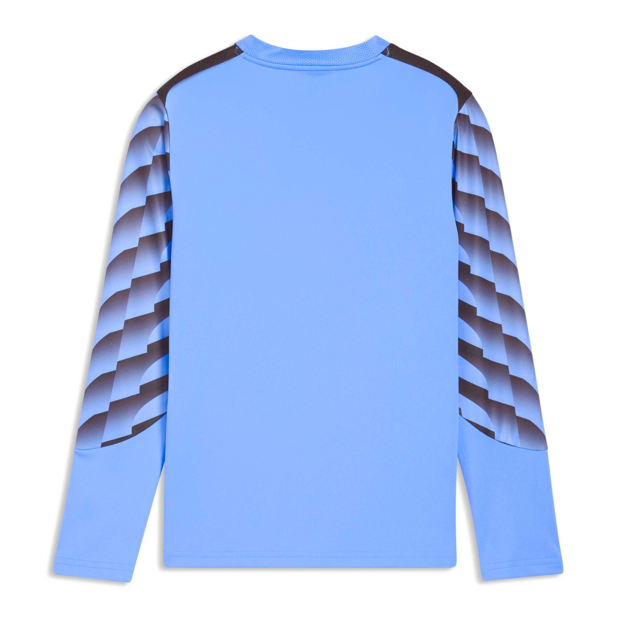 PUMA Langarmshirt Puma Kinder Torwarttrikot teamLIGA26 GK Jersey LS Jr 706549