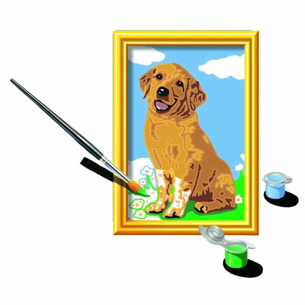 Ravensburger Malen nach Zahlen Kleiner Golden Retriever