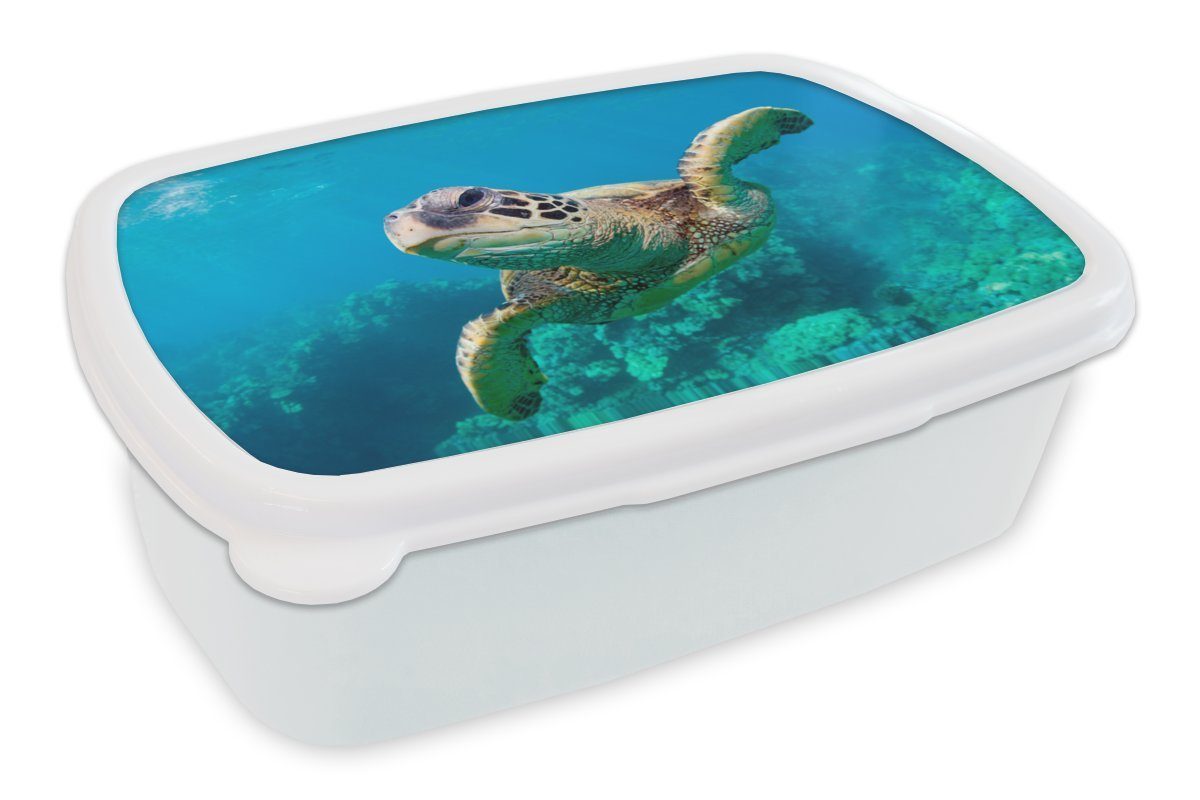 MuchoWow Lunchbox Eine Schildkröte schwimmt durch das Korallenriff vor Hawaii, Kunststoff, (2-tlg), Brotbox für Kinder und Erwachsene, Brotdose, für Jungs und Mädchen weiß