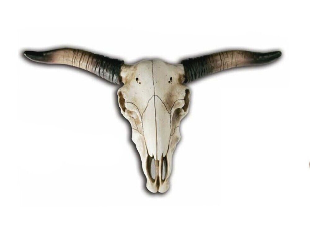 Westernlifestyle Dekofigur Bison-Schädel Großer Deko-Skull Big Longhorn Wanddekoration