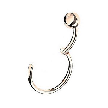 Taffstyle Nasenpiercing Piercing Segmentring Scharnier Clicker mit Kugel, Ring Helix Lippe Nasenring Nasenpiercing Ohrpiercing Filigran Creole