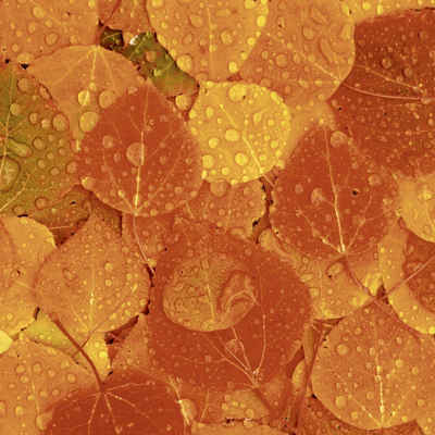 HOME FASHION Papierserviette 20 Servietten Rainy Leaves 33x33cm, (20 St)