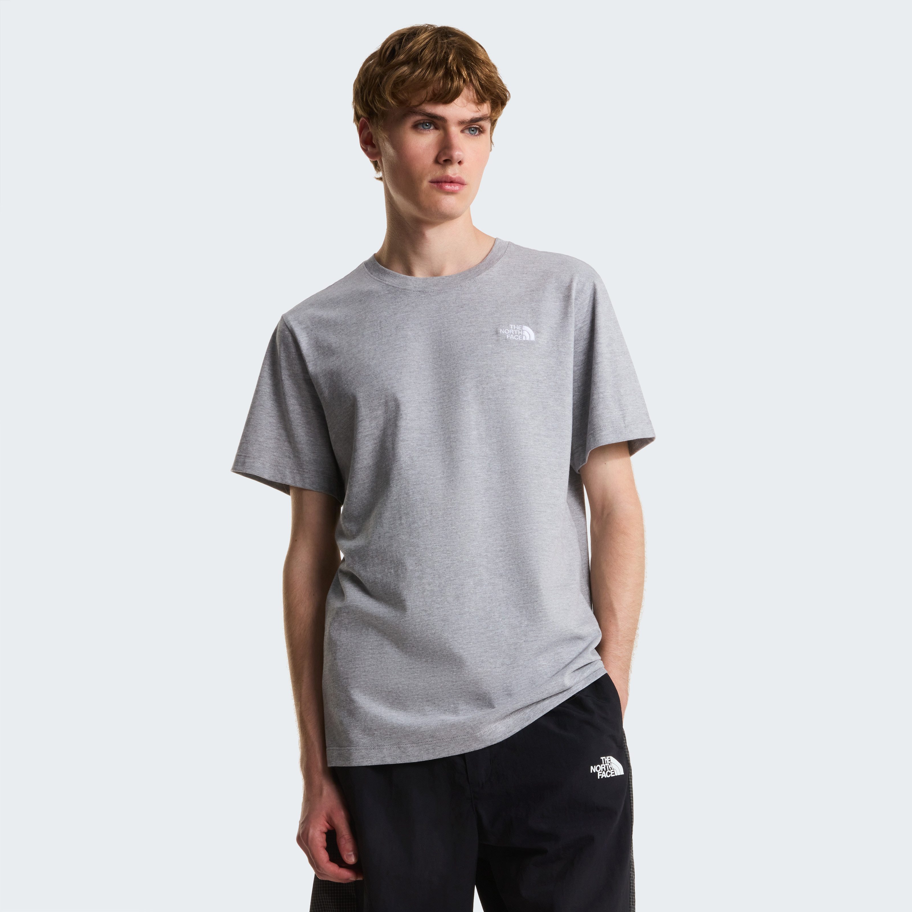 The North Face T-Shirt M EVOLUTION SIMPLE DOME REGULAR SHORT SL (1-tlg) günstig online kaufen