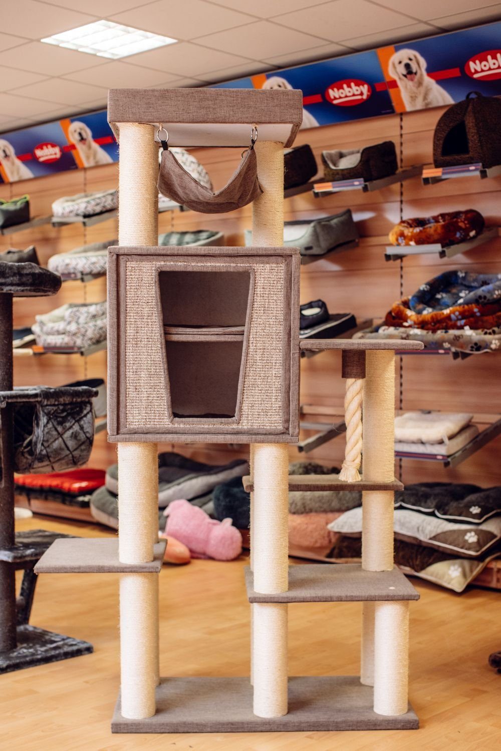 Nobby Kratzbaum Kasil, 100 x 50 x 203 cm