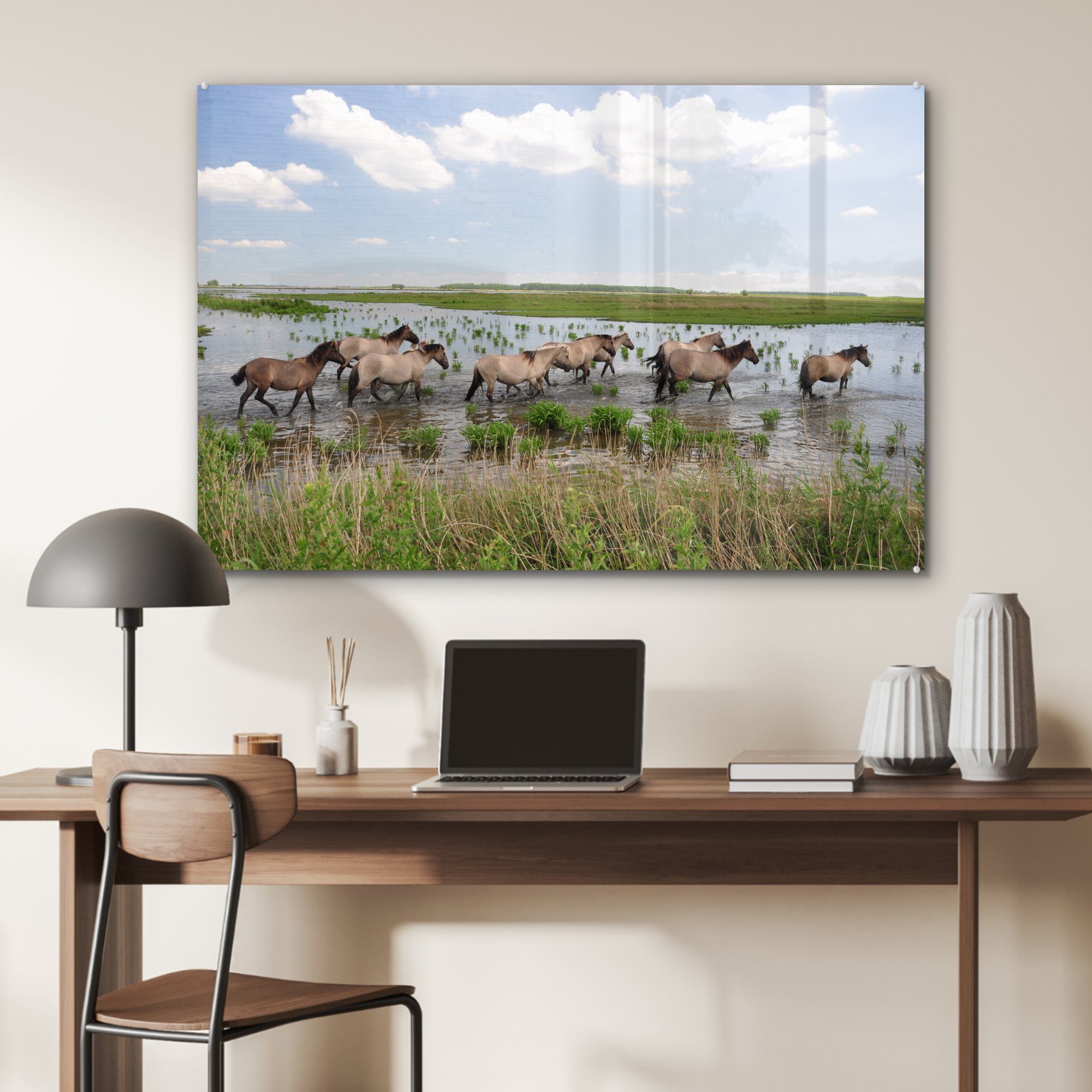 Acrylglasbild Acrylglasbilder & MuchoWow - Pferde Wasser - Lauwersmeer, Schlafzimmer St), (1 Wohnzimmer