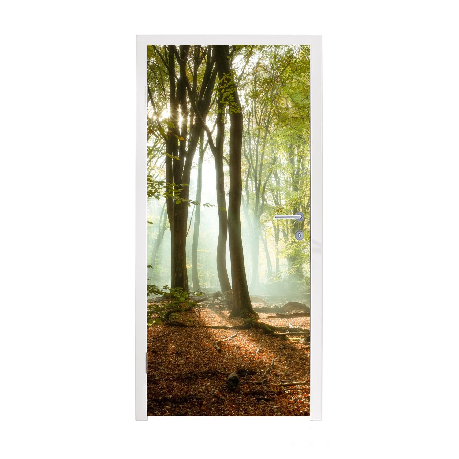 MuchoWow Türtapete Wald - Sonne - Jahreszeiten - Landschaft, Matt, bedruckt, (1 St), Fototapete für Tür, Türaufkleber, 75x205 cm