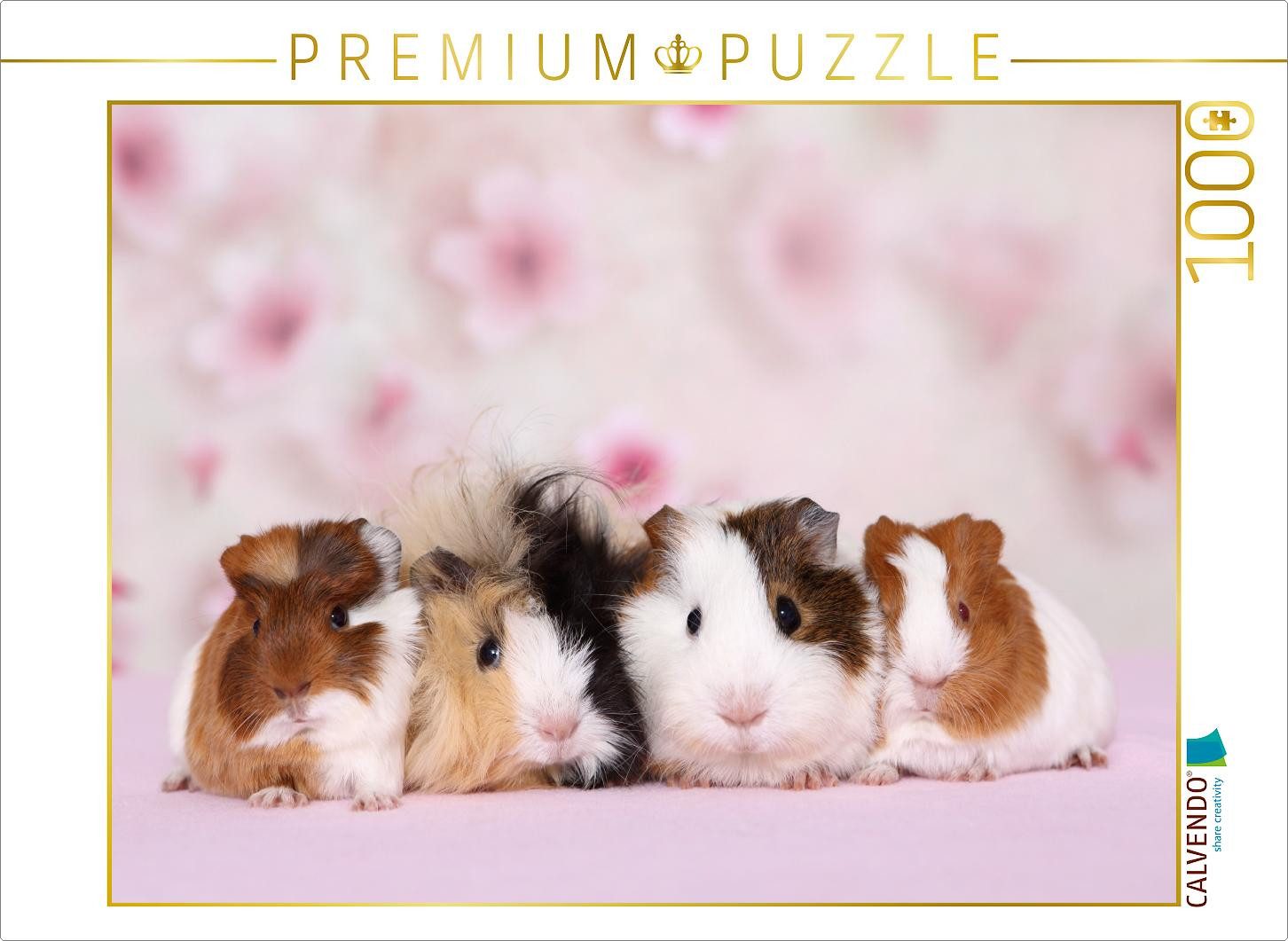 CALVENDO Puzzle CALVENDO Puzzle Meerschweinchen, 1000 Teile Lege-Größe 64x48cm Foto-P, 1000 Puzzleteile