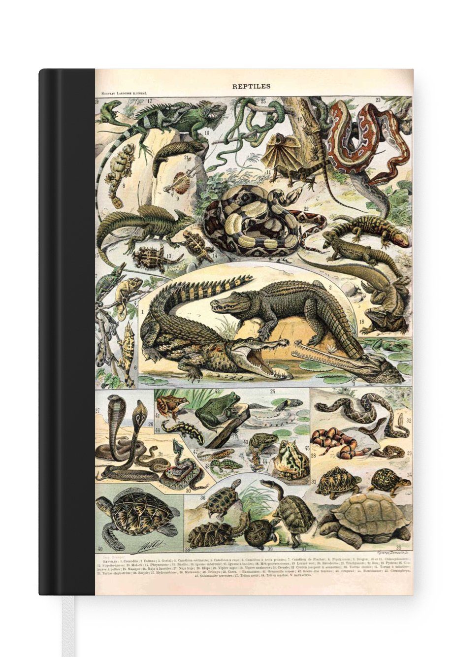 MuchoWow Notizbuch Merkzettel, Notizheft, Journal, Haushaltsbuch A5, - Tagebuch, 98 Reptilien, Tiere Seiten, Natur 