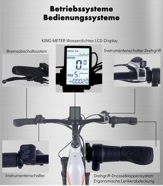 DOTMALL E-Bike Shengmilo MX06 17.5AH Samsung Akku 500W, Heckmontierte Motoren