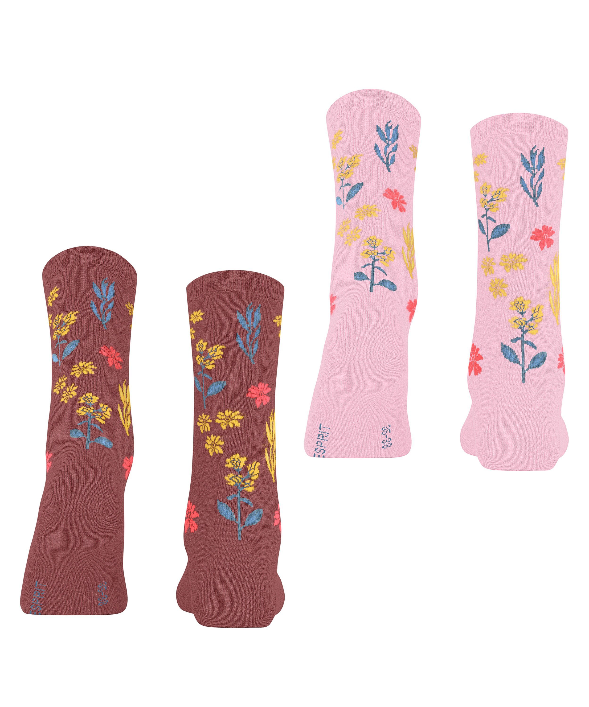 Winter Flower Esprit 2-Pack (0020) sortiment Socken (2-Paar)