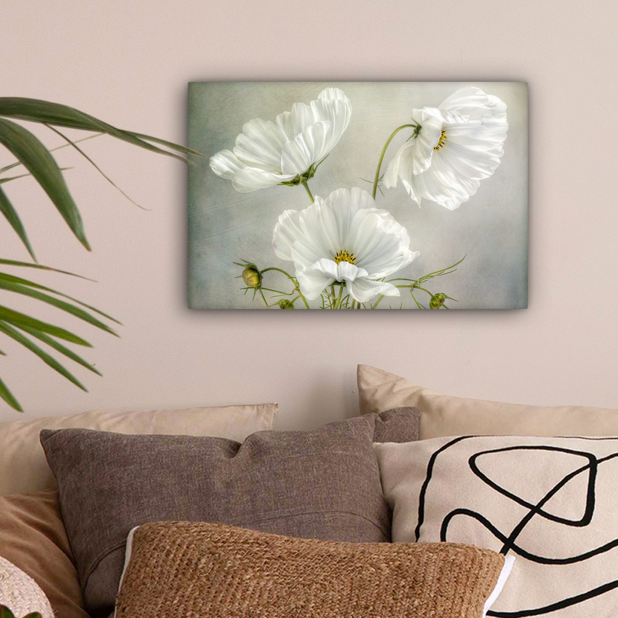 OneMillionCanvasses® Leinwandbild Blumen - Stillleben - Mohn - Weiß - Botan günstig online kaufen