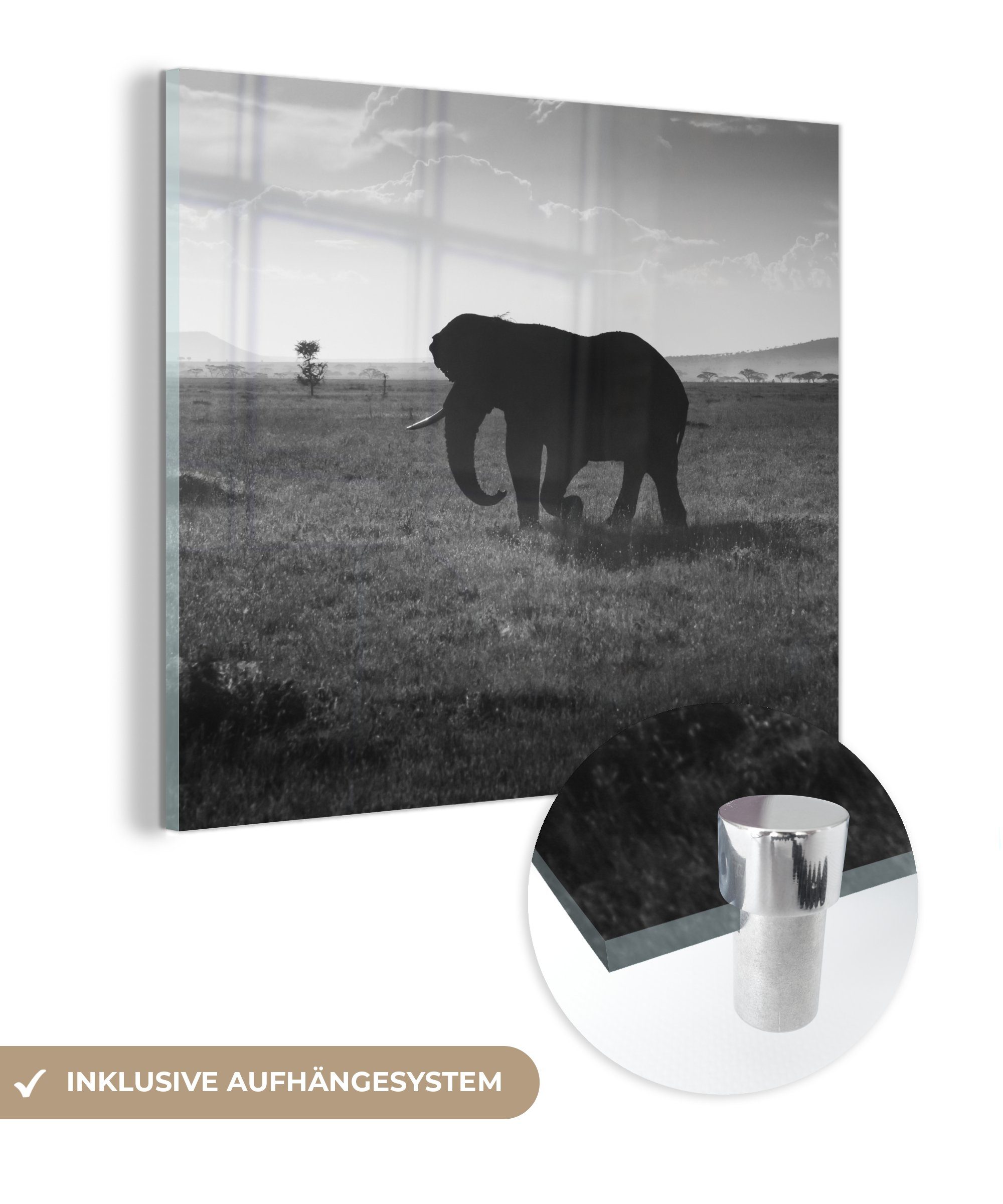 MuchoWow Acrylglasbild Elefant - Einfarbig - - Foto Wandbild weiß, auf Glas Glas Bilder und - St), - Schwarz Wanddekoration Glasbilder auf Tiere (1 