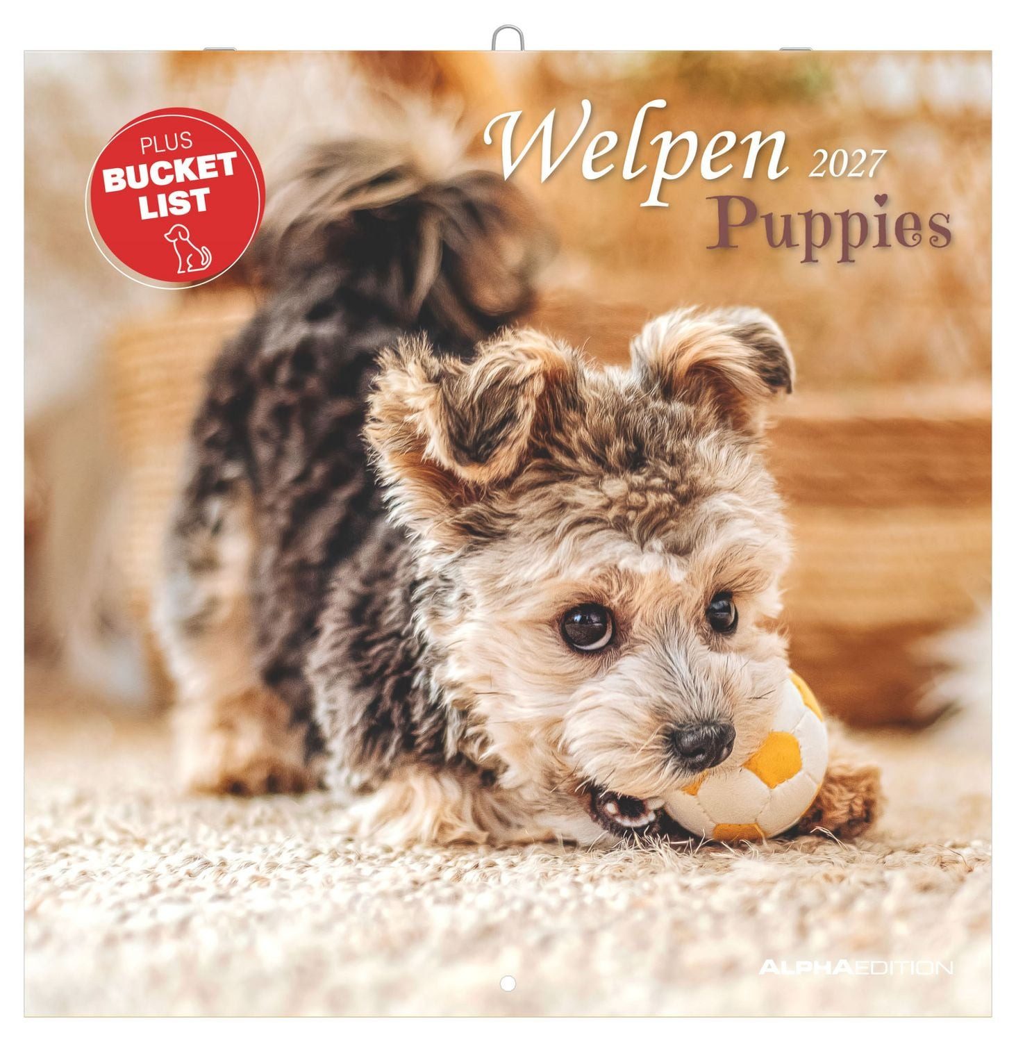 Tierkalender Welpen 2027