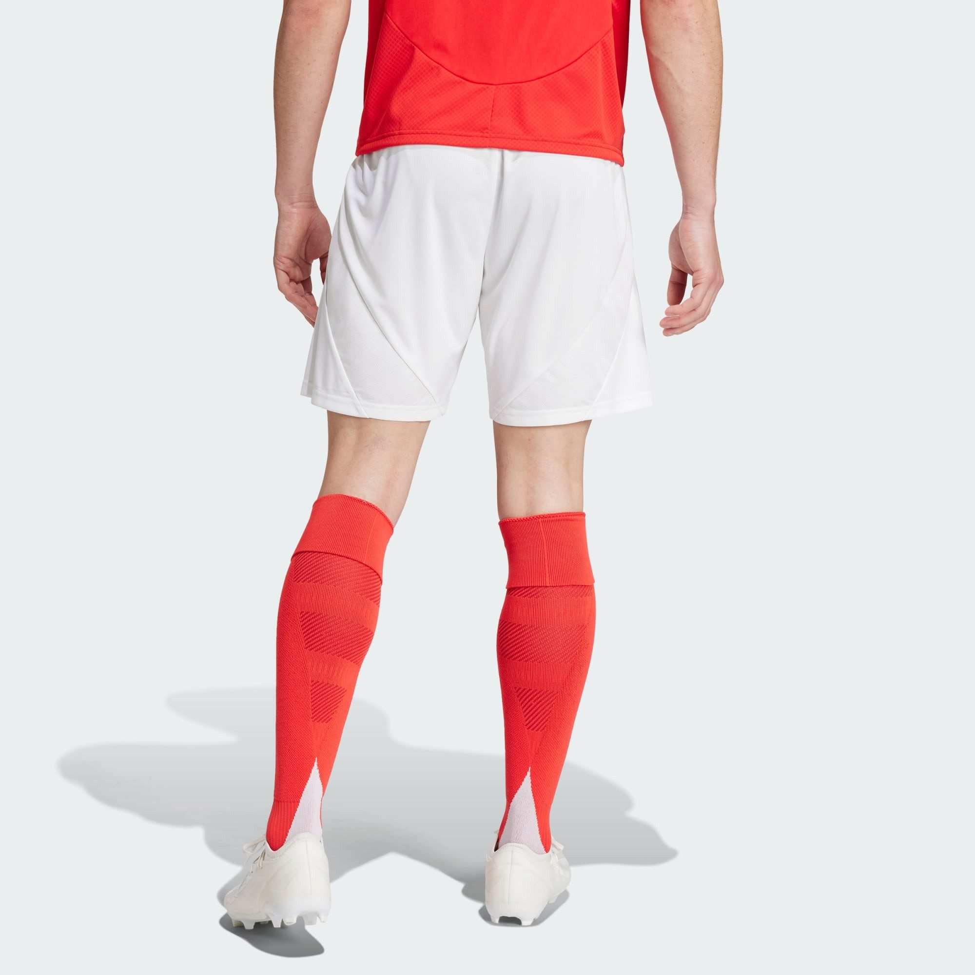 adidas Performance Sporthose BENFICA LISSABON 24/25 günstig online kaufen