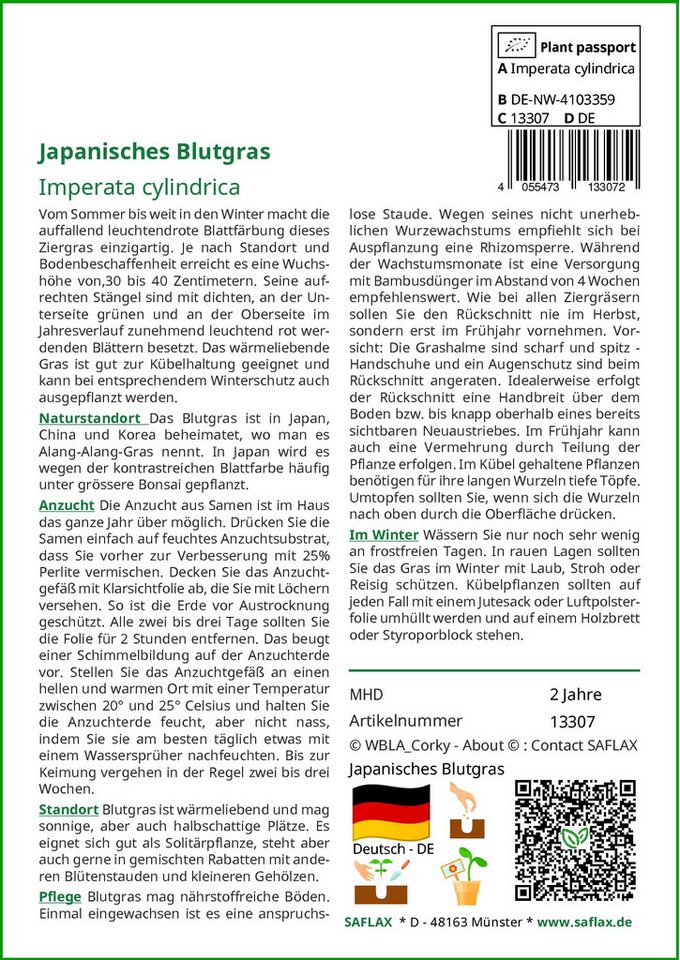 Thumbnail - SAFLAX Blumensamen SAFLAX - Samen - Japanisches Blutgras