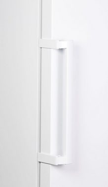 Hisense Gefrierschrank FV306N4CW2, 174,6 cm hoch, 59,5 cm breit