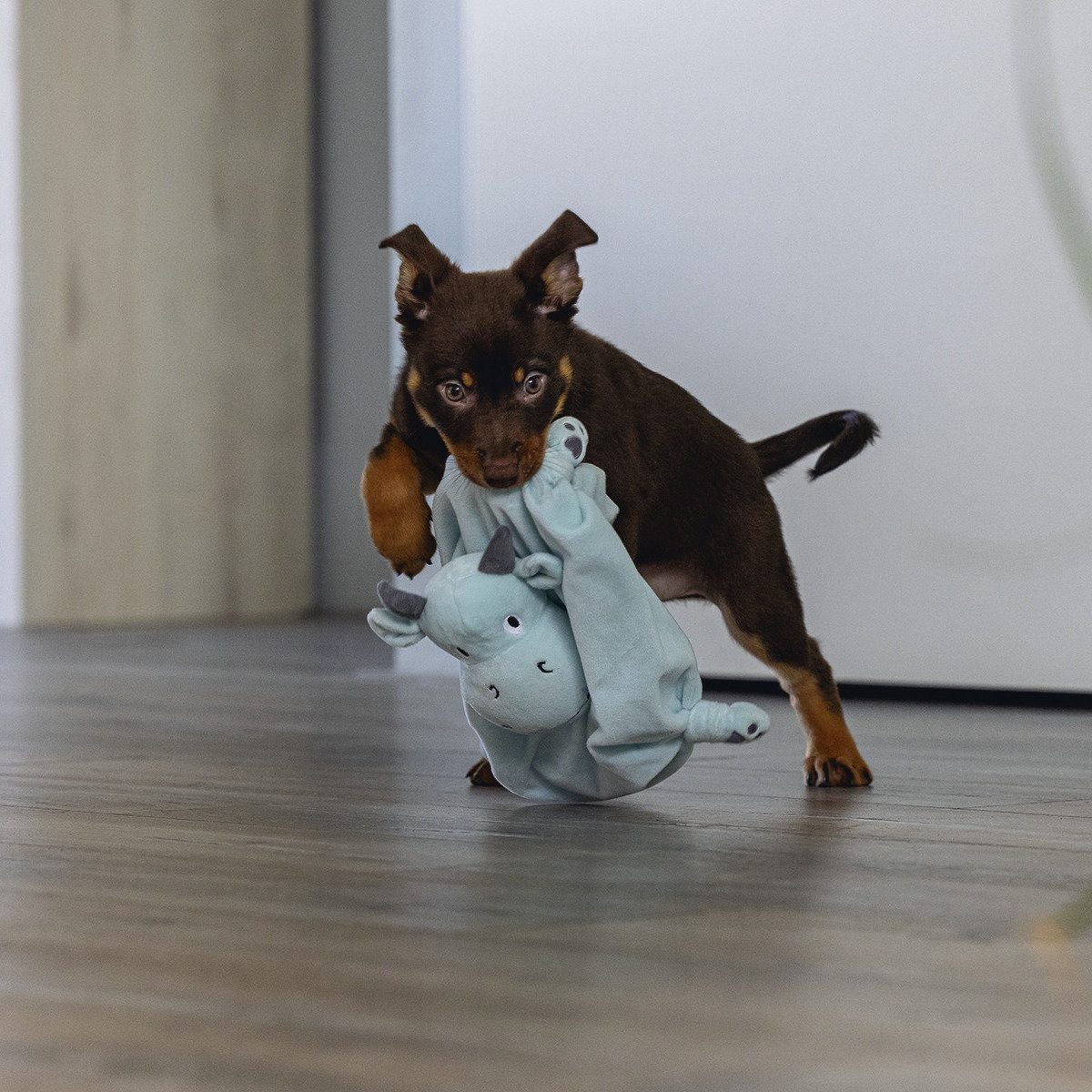 Beeztees Tierkuscheltier Hundespielzeug Puppy Kuscheldecke Drache grün