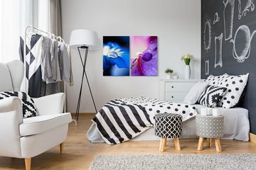 Sinus Art Leinwandbild 2 Bilder je 60x90cm Blumen blaue Blüte Wassertropfen Tropfen Sommer Stimmig Beruhigend