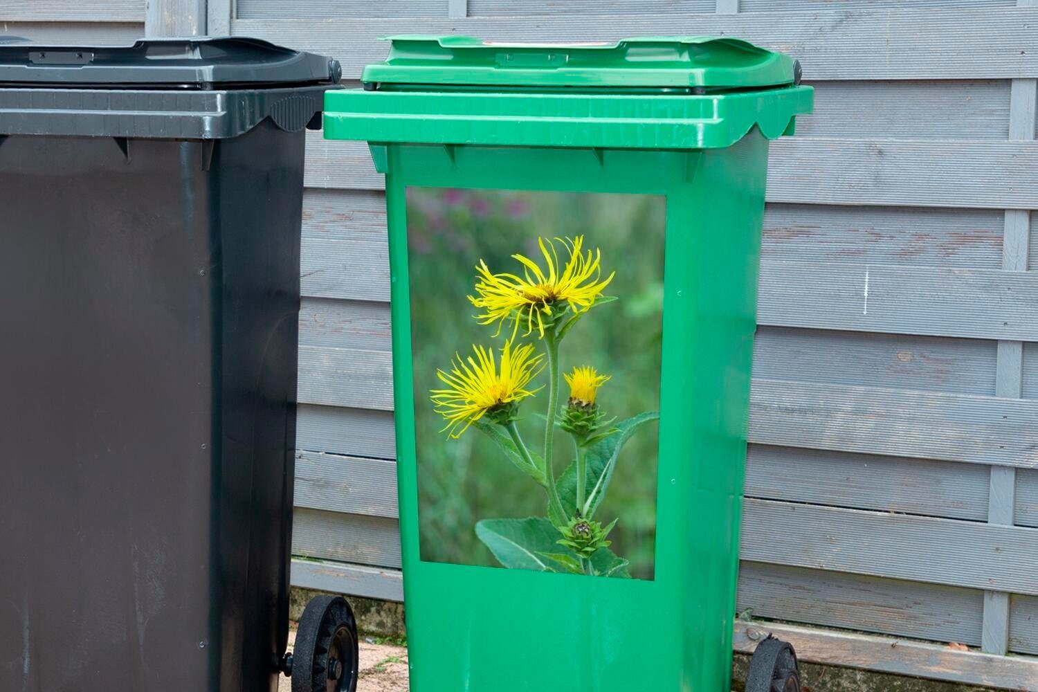 (1 Alantblüte MuchoWow grünen St), Container, im hohen Sticker, Gelbe Abfalbehälter Wandsticker Gras Mülleimer-aufkleber, Mülltonne,