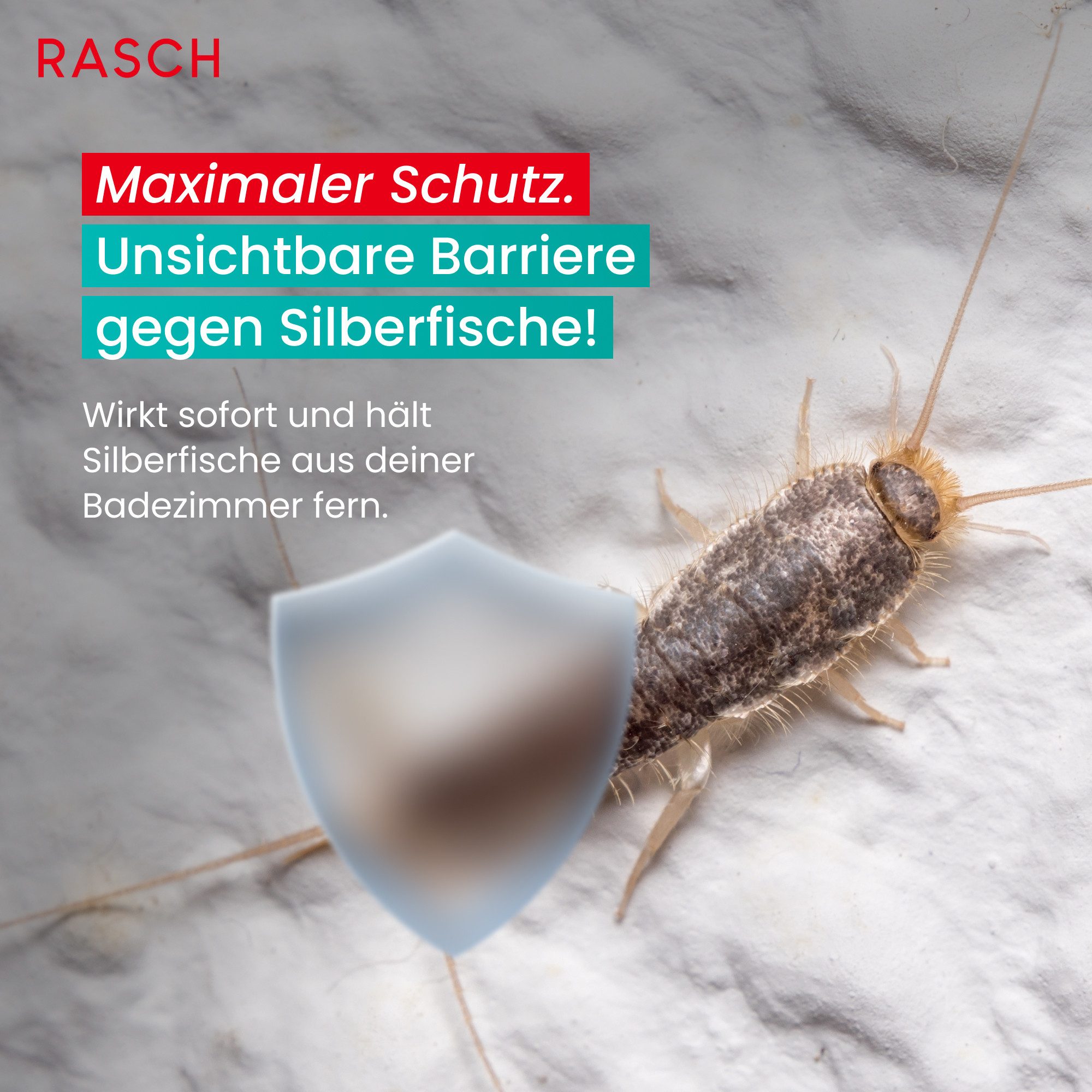 Rasch Insektenspray Rasch Home Defender - Silberfische Stop Power Spray - 500 ml, 500 ml, 1-St., 500 ml – Bild 3 von 5