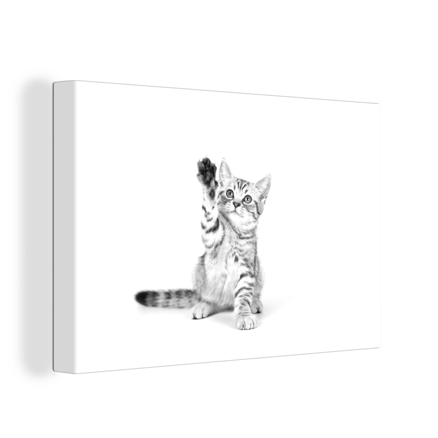 OneMillionCanvasses® Leinwandbild Kätzchen - Pfote - Weiß - Mädchen - Kinder - Jungen - Kind, (1 St), Wandbild Leinwandbilder, Aufhängefertig, Wanddeko, 30x20 cm bunt