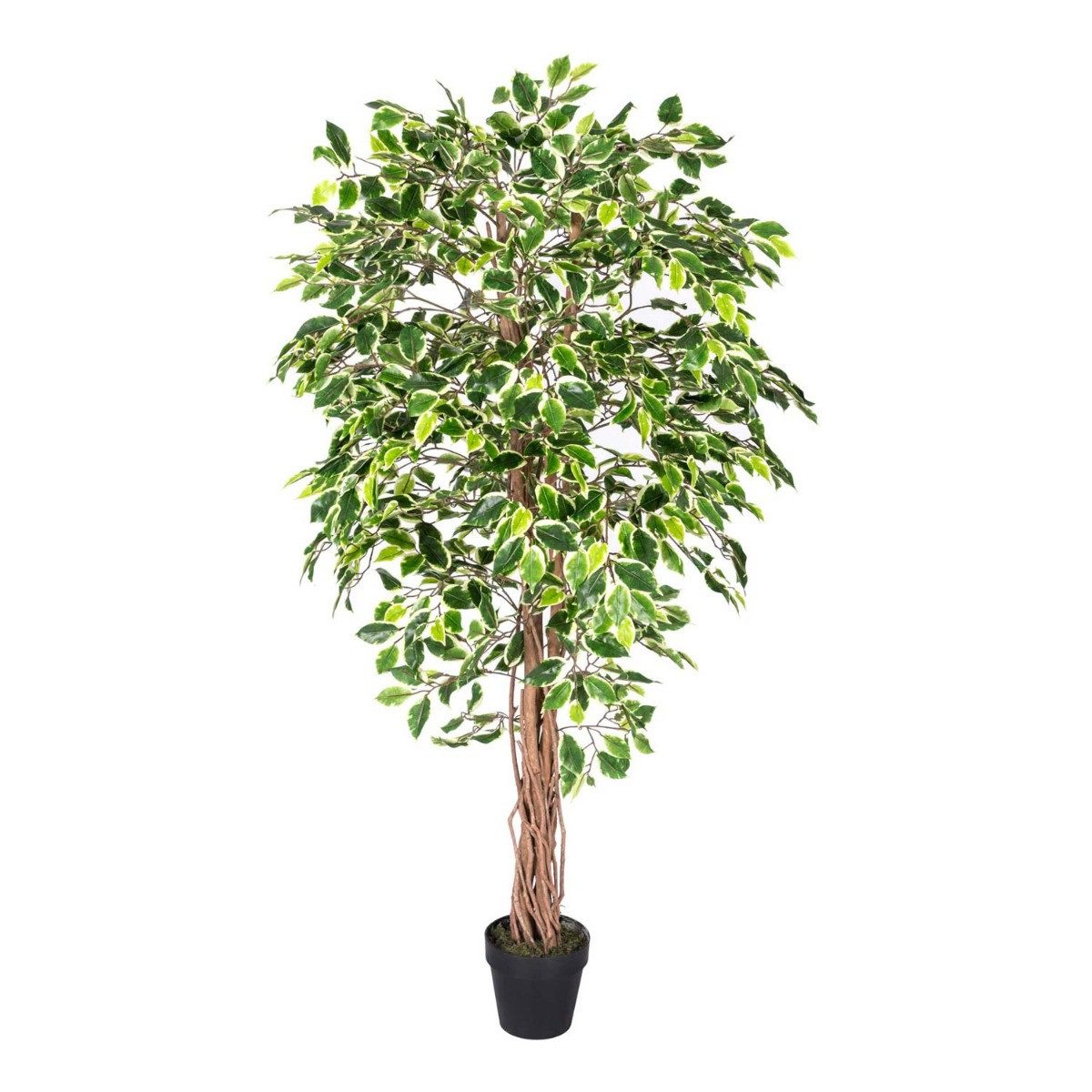 Kunstbaum Kunstbaum Ficus Benjamini grün weiß günstig online kaufen