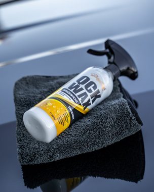 ShinyChiefs AQUA SHIELD - NASSVERSIEGELUNG 500ml Auto Auto-Reinigungsmittel (1-St)