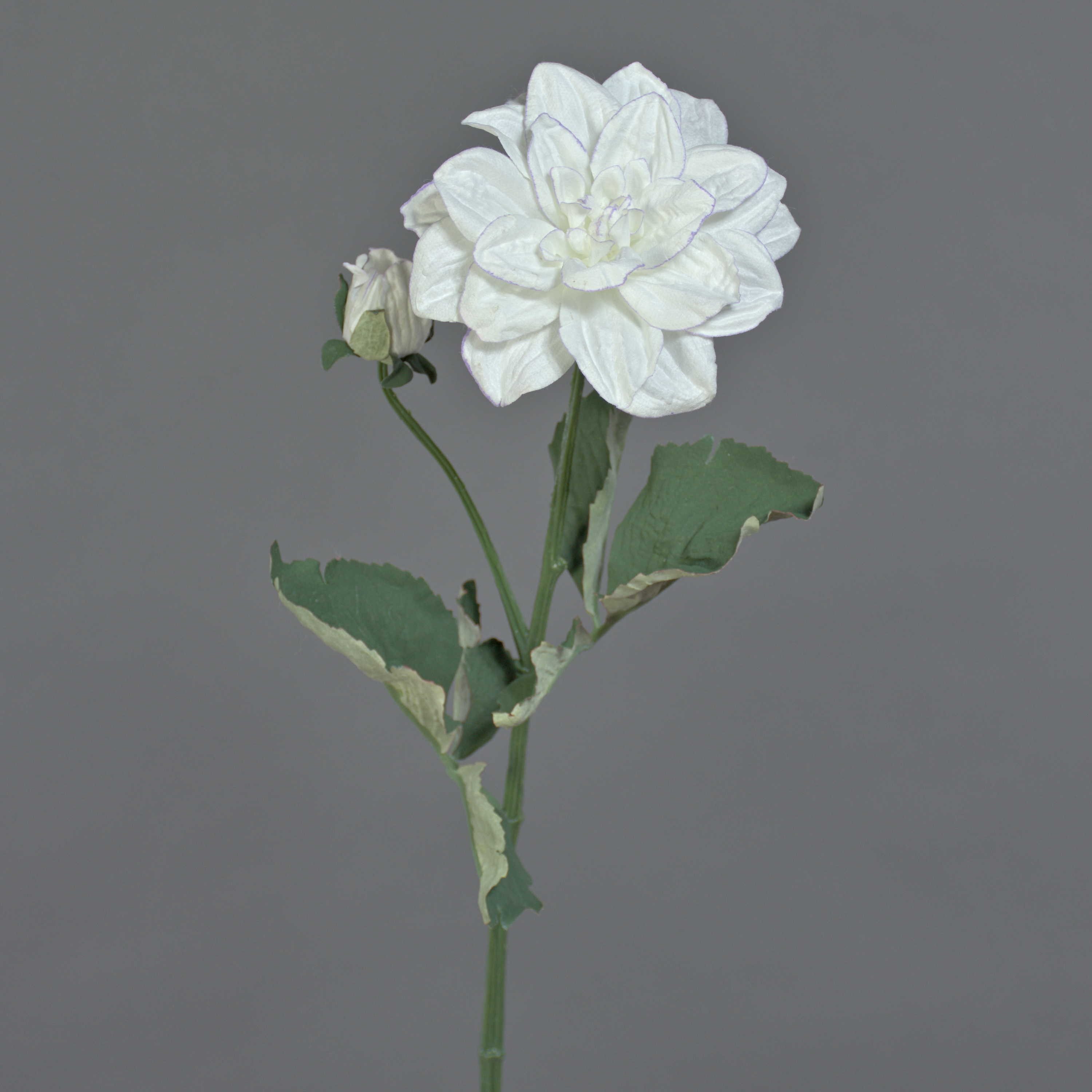 Kunstblume Deko Blumenzweig Dahlie Ginger, Eco Collection, weiß-lila, 60cm, Ø10cm Dahlie, artplants, Höhe 60.0 cm