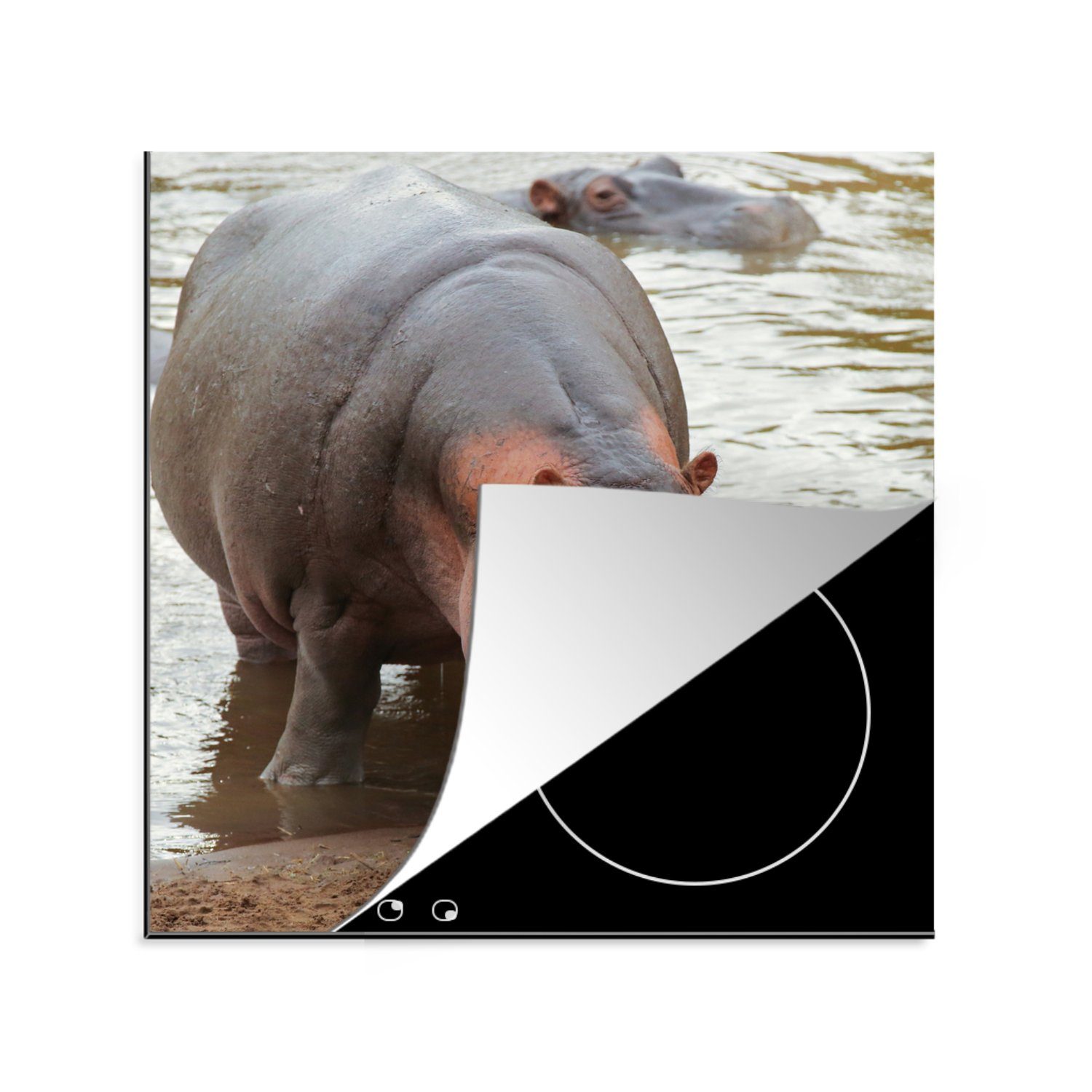 MuchoWow Herdblende-/Abdeckplatte Nilpferde - Wasser - Tiere, Vinyl, (1 tlg), 78x78 cm, Ceranfeldabdeckung, Arbeitsplatte für küche